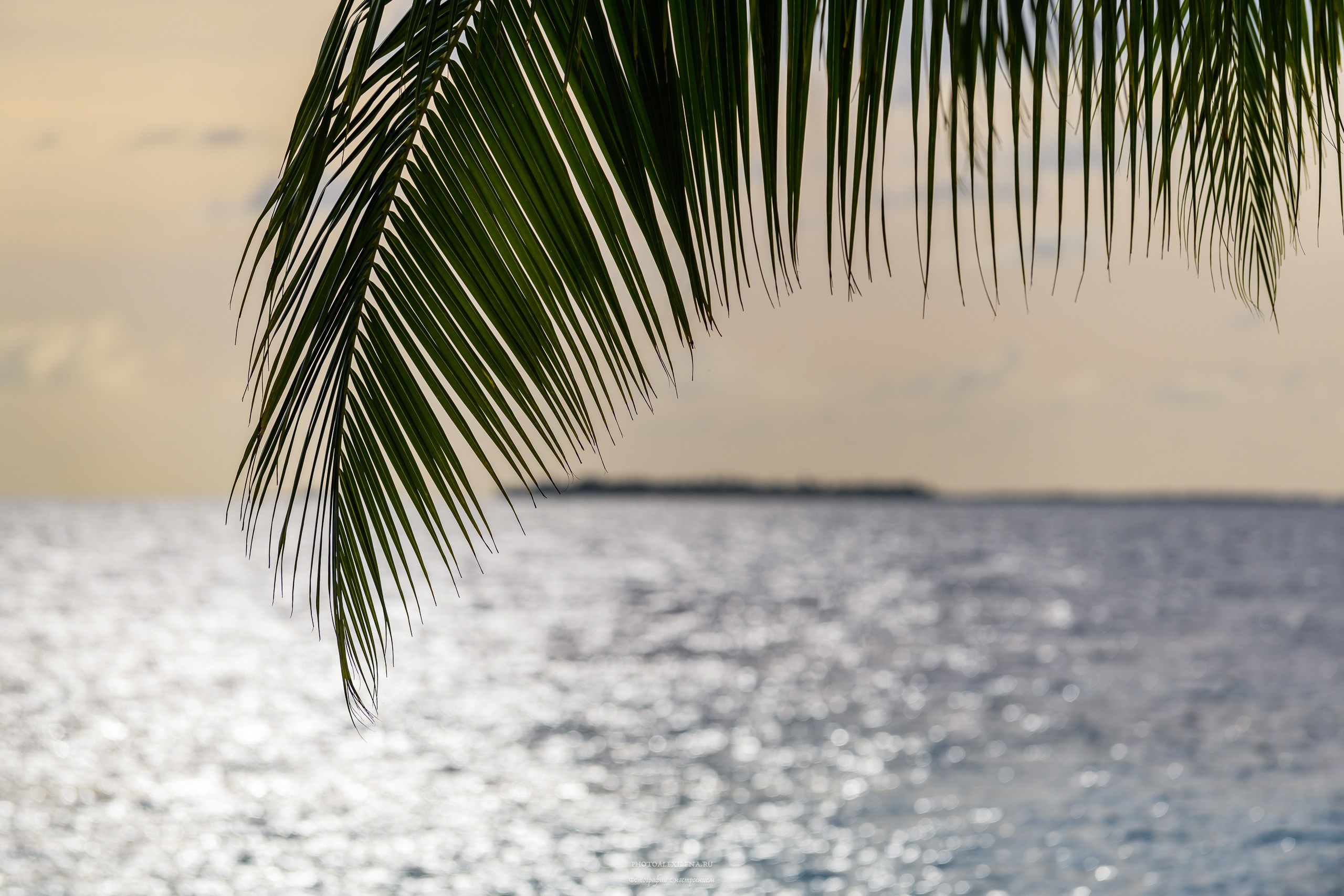 Море, море…мир бездонный. Авторские стильные фотокартины