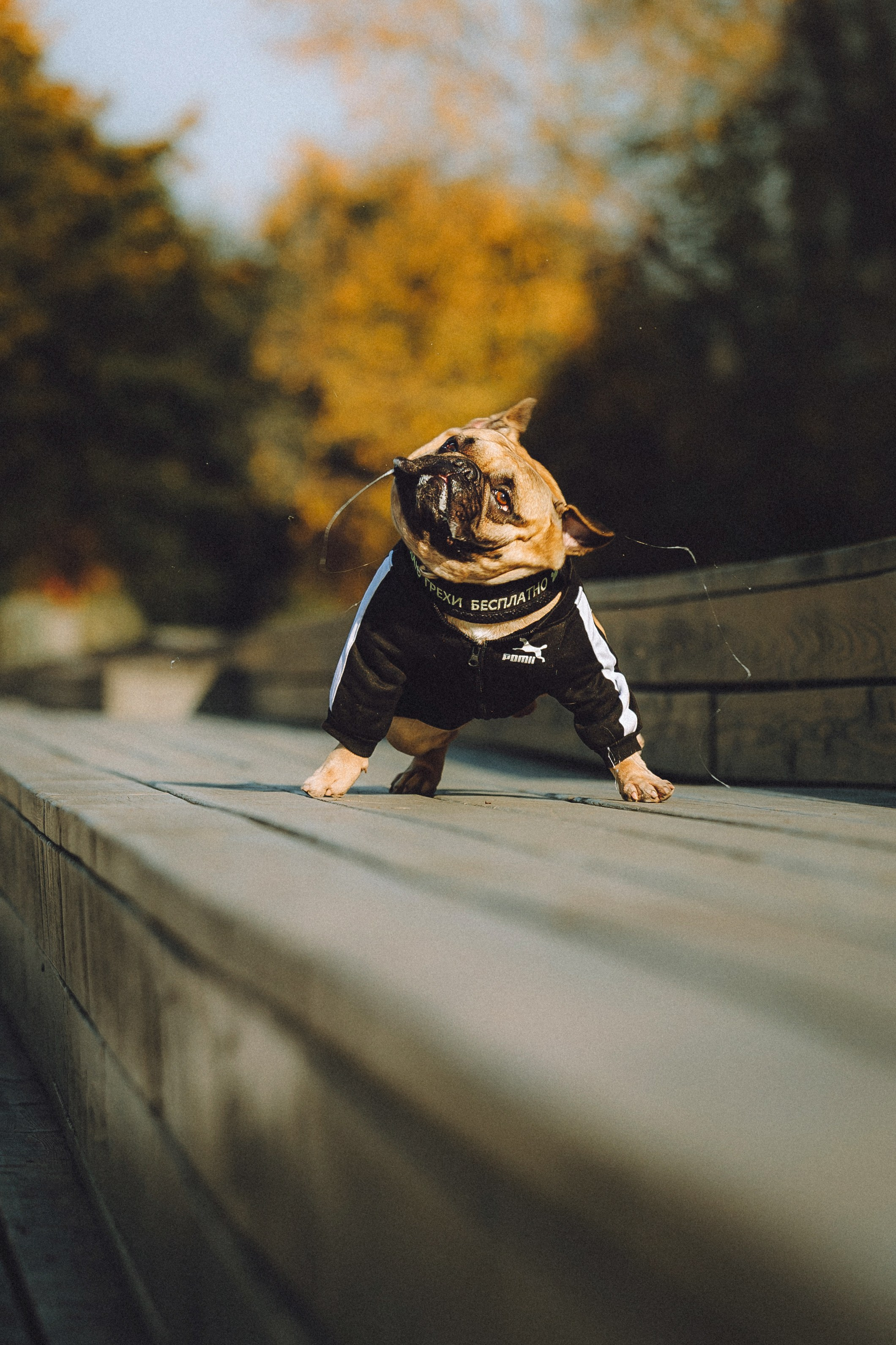 Настя, Женя и Хонор