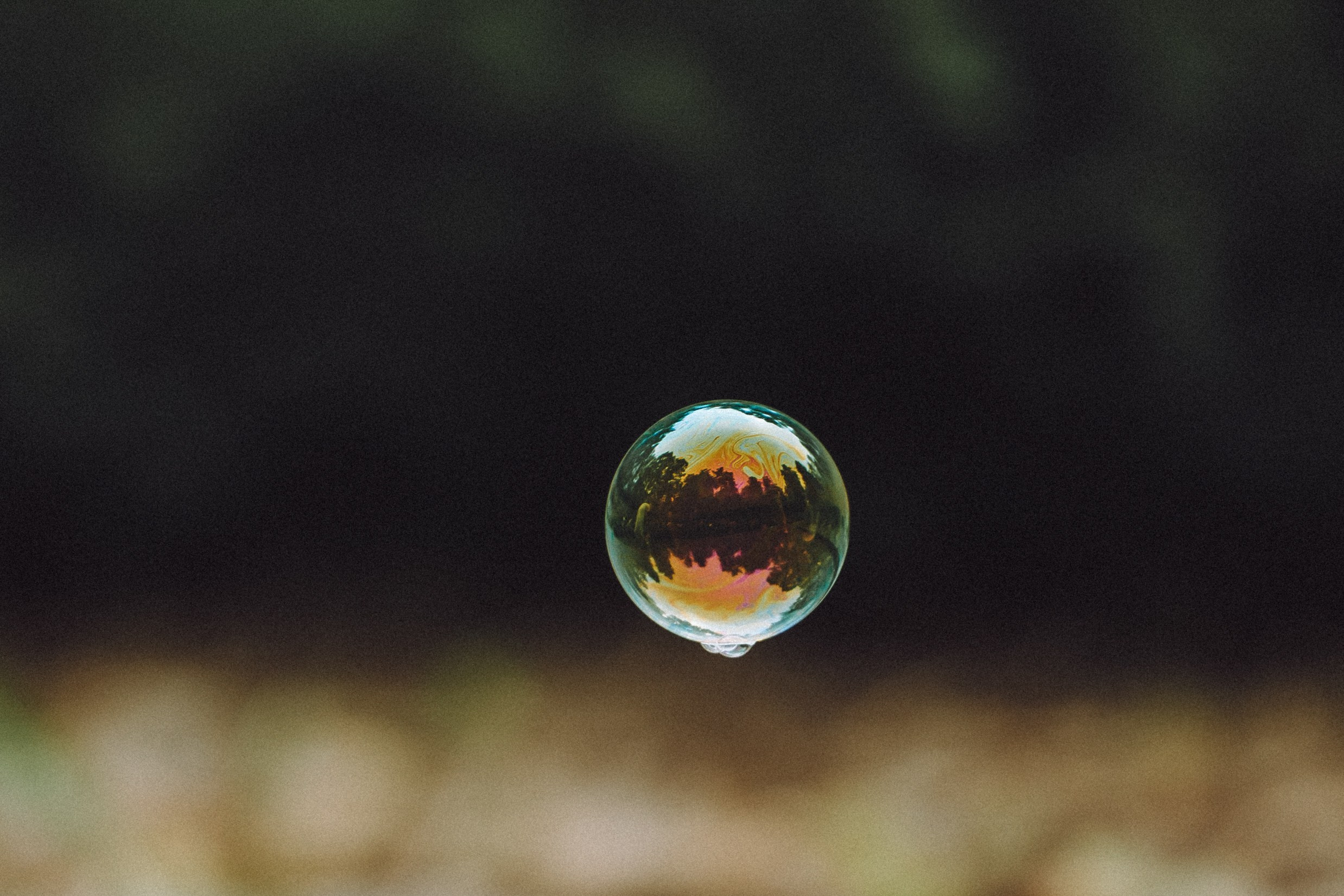 Ира, Леша и Харли