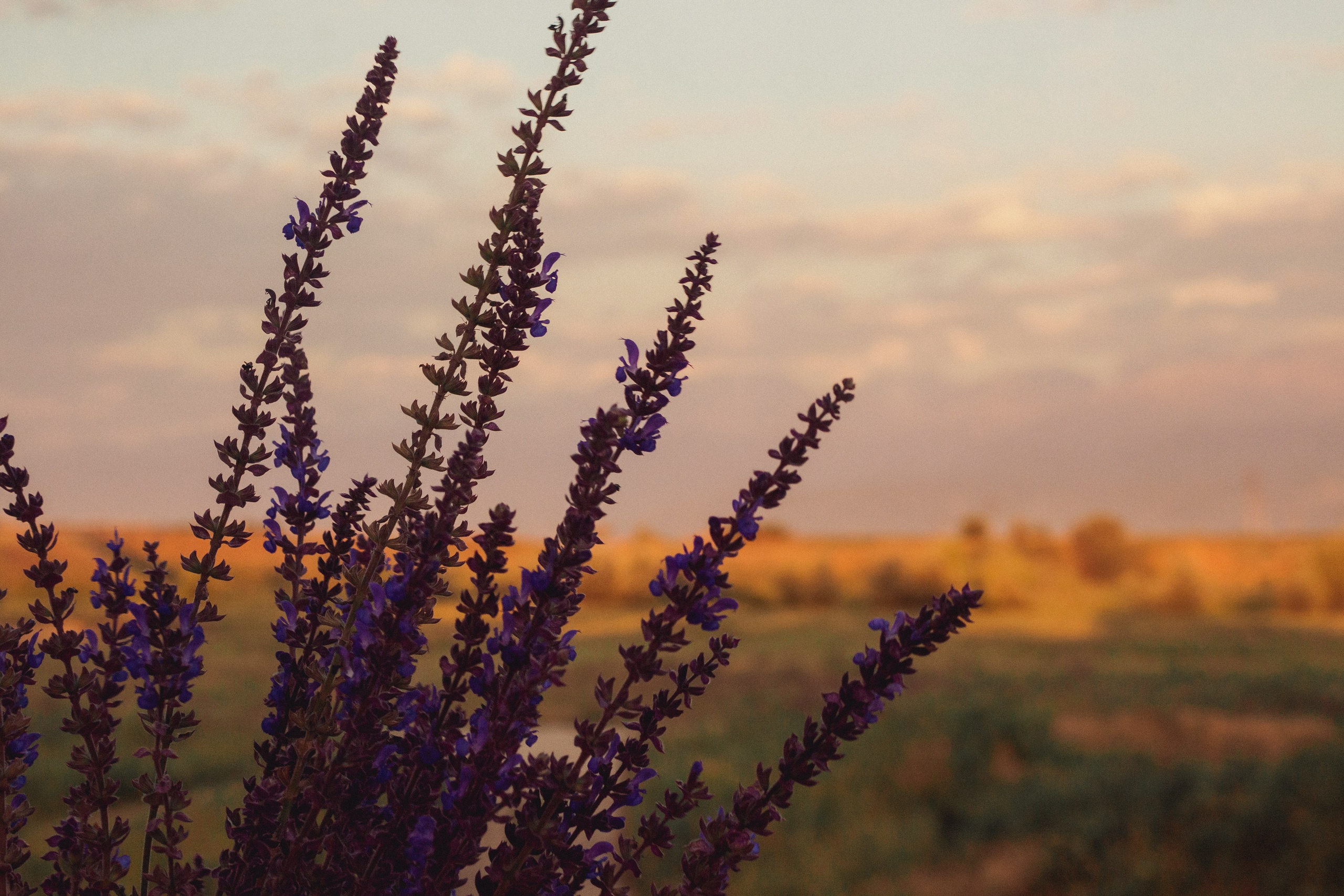 Юля / Алматы. Фотограф Наталья Гончарова. Снимаю живые портреты в Алматы