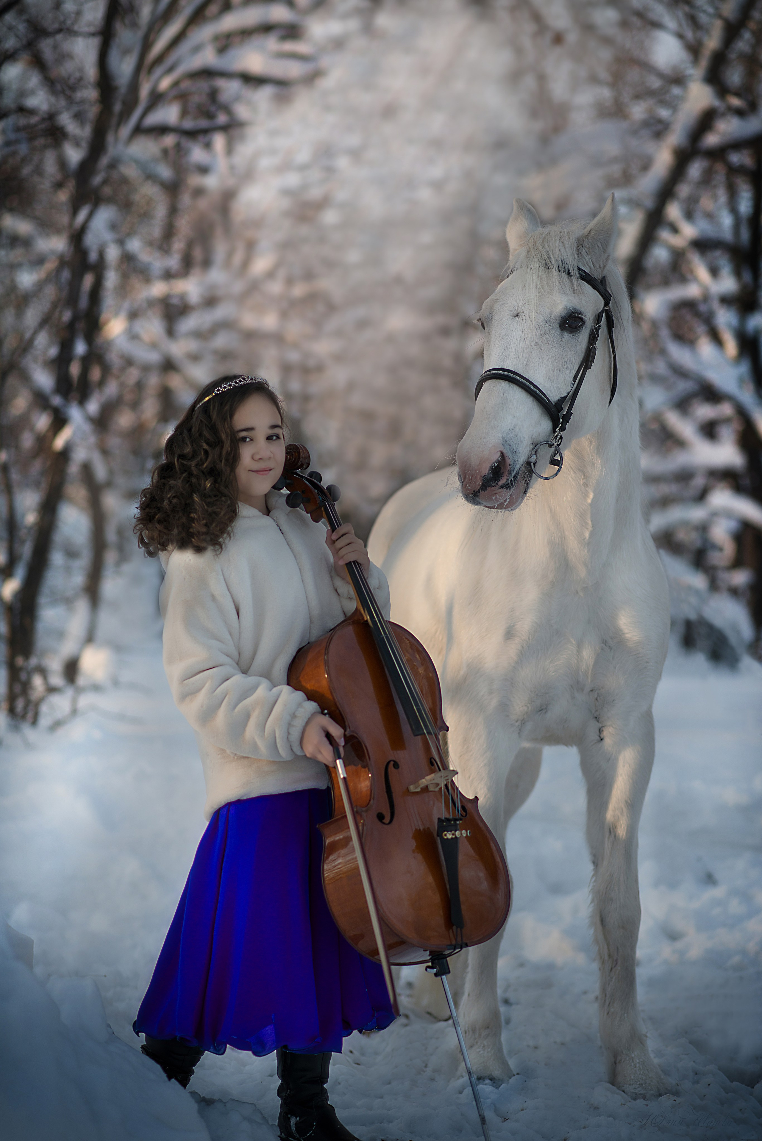 Фотодень с  Каспийцем. Конный фотограф в Саратове Юлия Иванова
