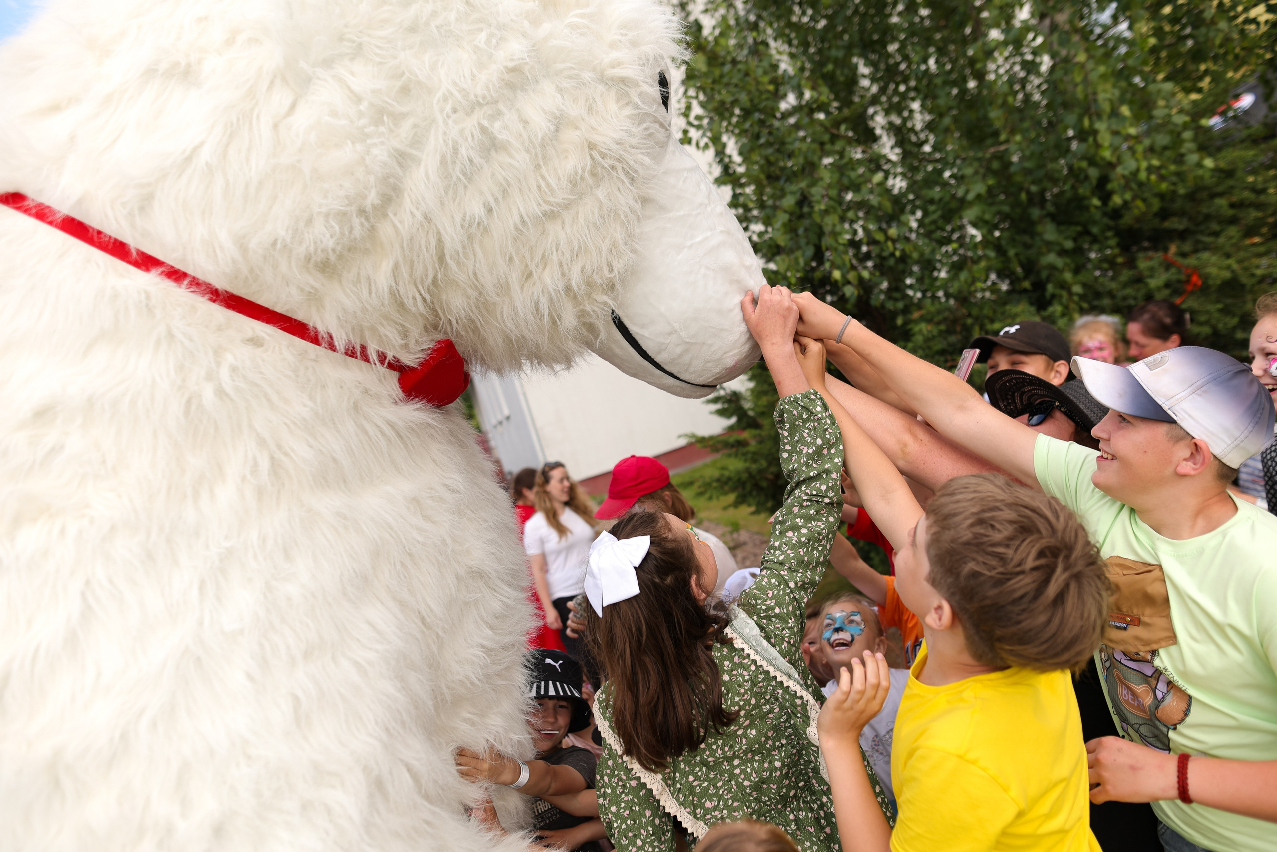 Благотворительный проект в Caritas. Свадебный фотограф Беларусь Ольга Козыренко