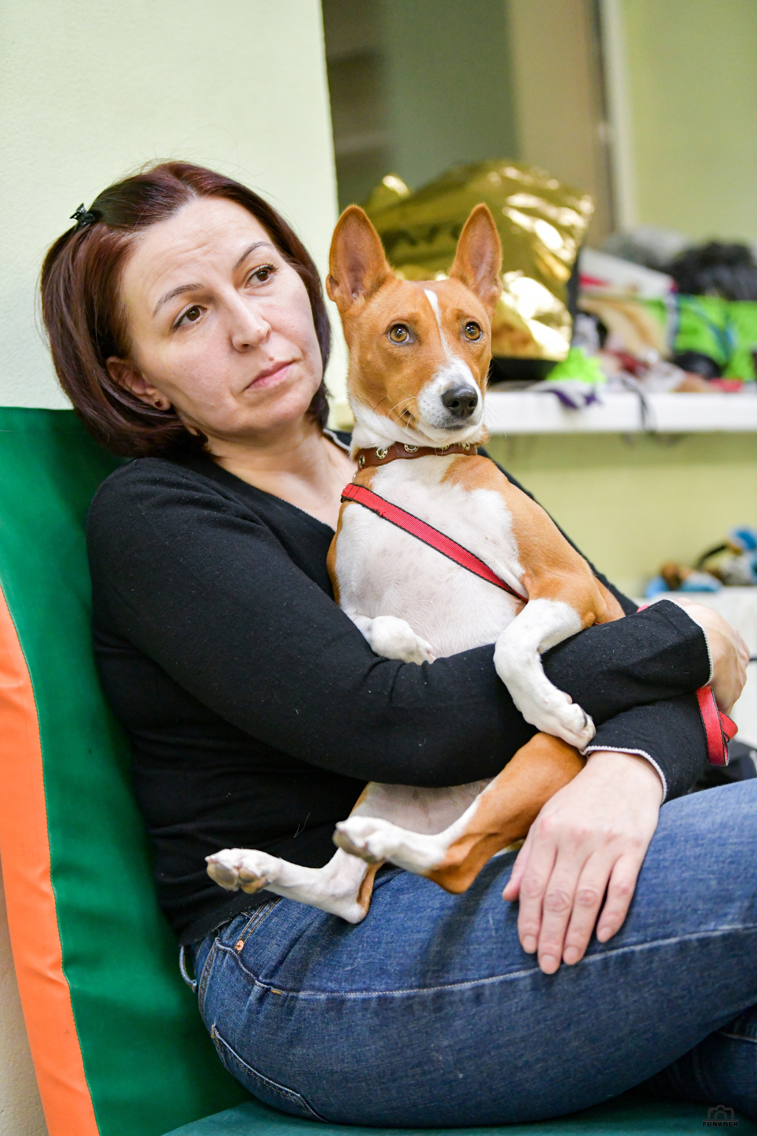 Кинологический клуб «Бодрый хвост». Свой взгляд через объектив