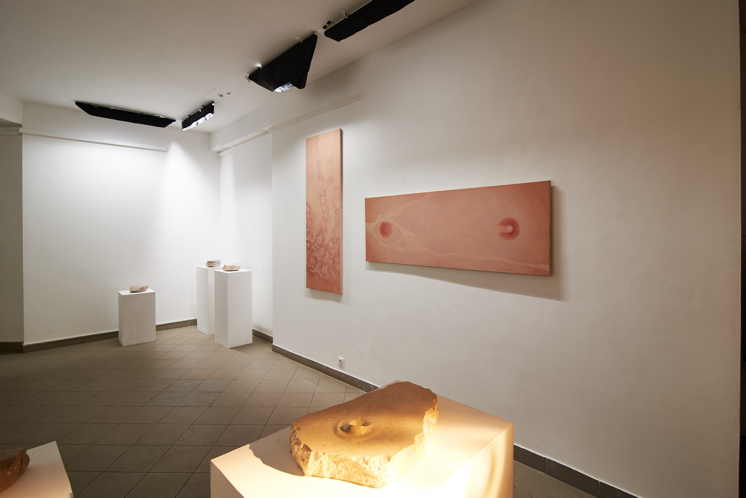 THE ALIENATED BODY. Ilmira Bolotyan — Interdisciplinary Artist and Curator