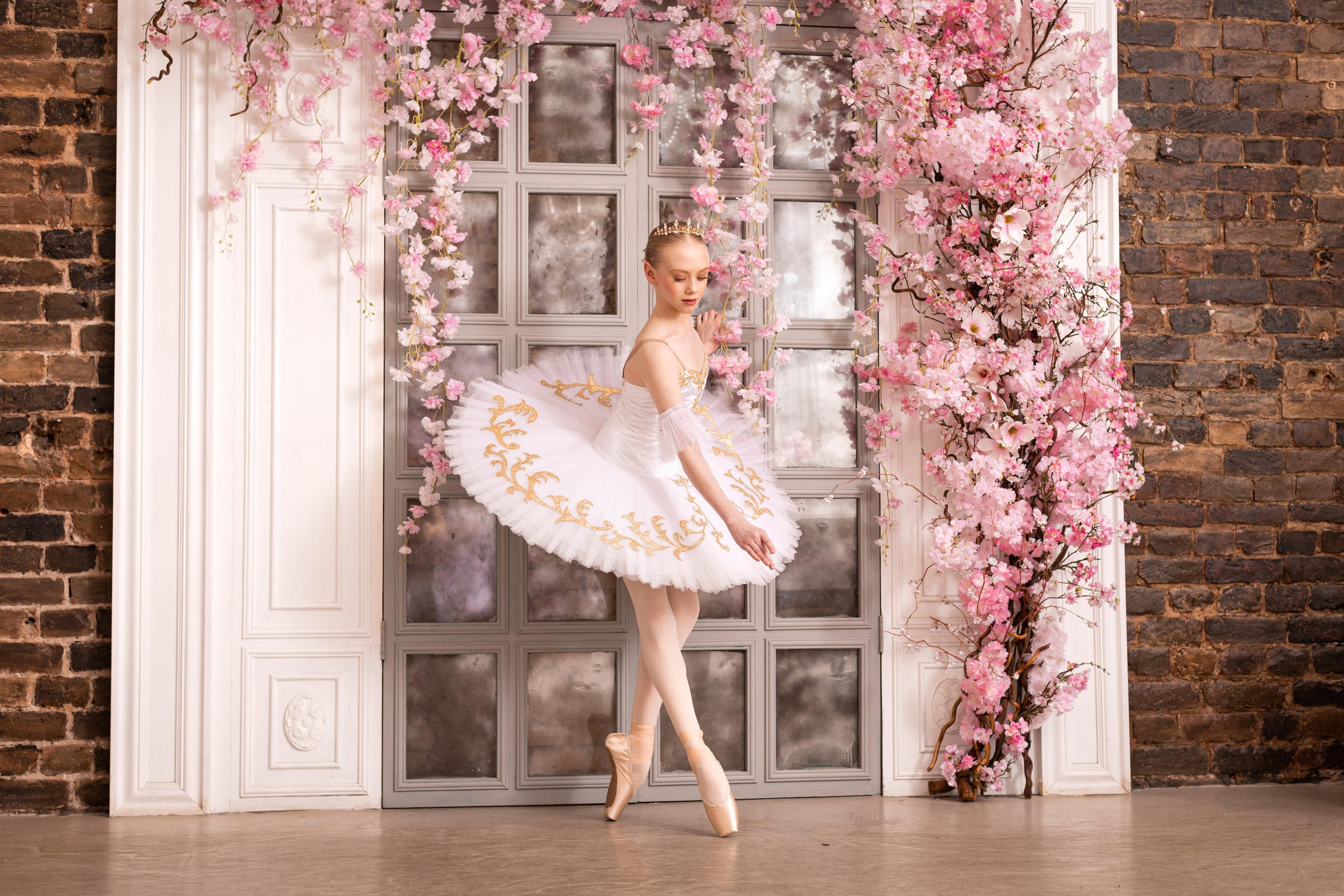 Балетная съёмка в интерьере. Балетный фотограф Алина Ханько — Душа Балета