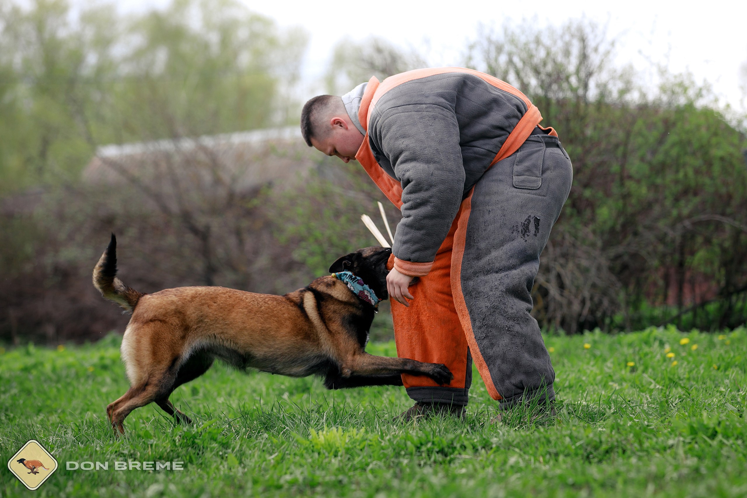 Семинар для фигурантов, день 2. Фотограф-анималист Mary Mart — Москва, Питер