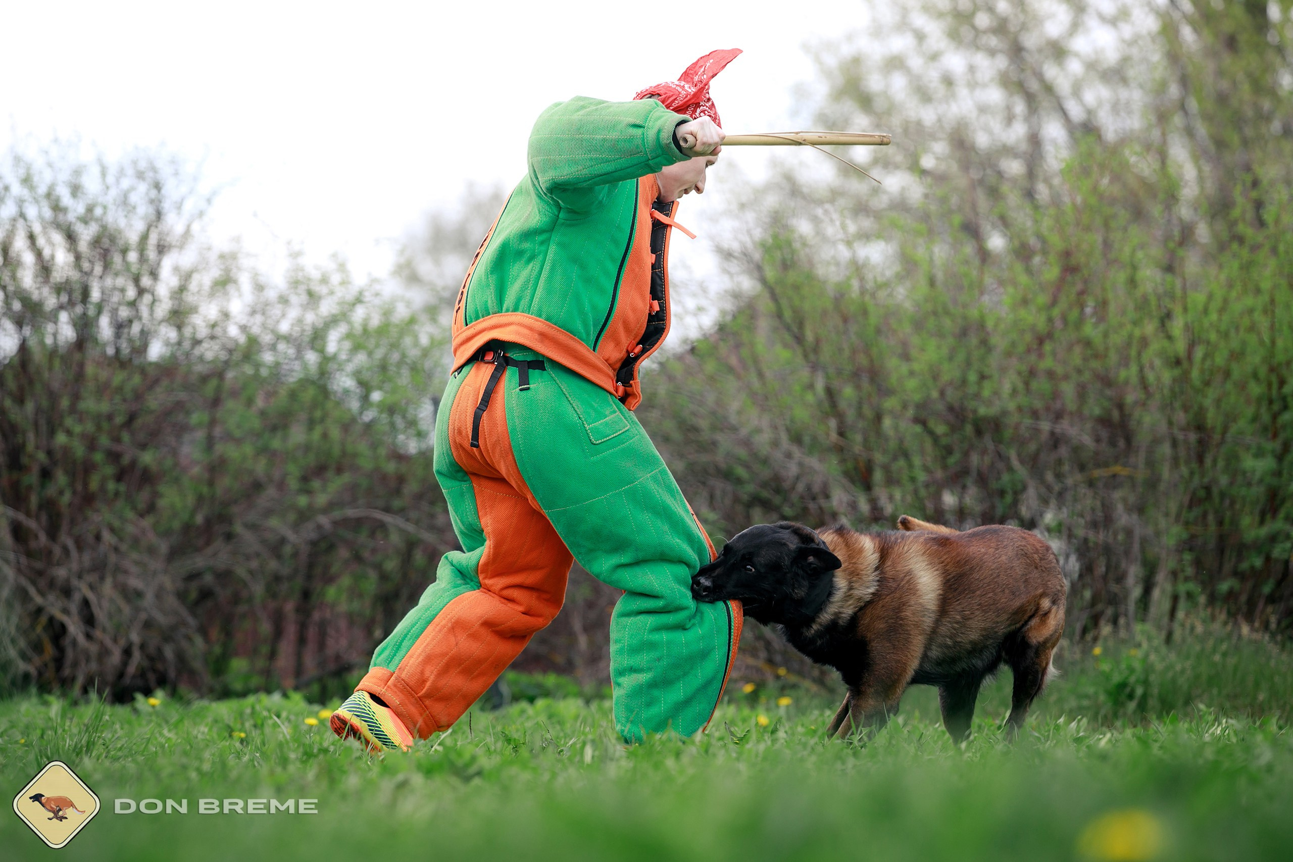 Семинар для фигурантов, день 2. Фотограф-анималист Mary Mart — Москва, Питер