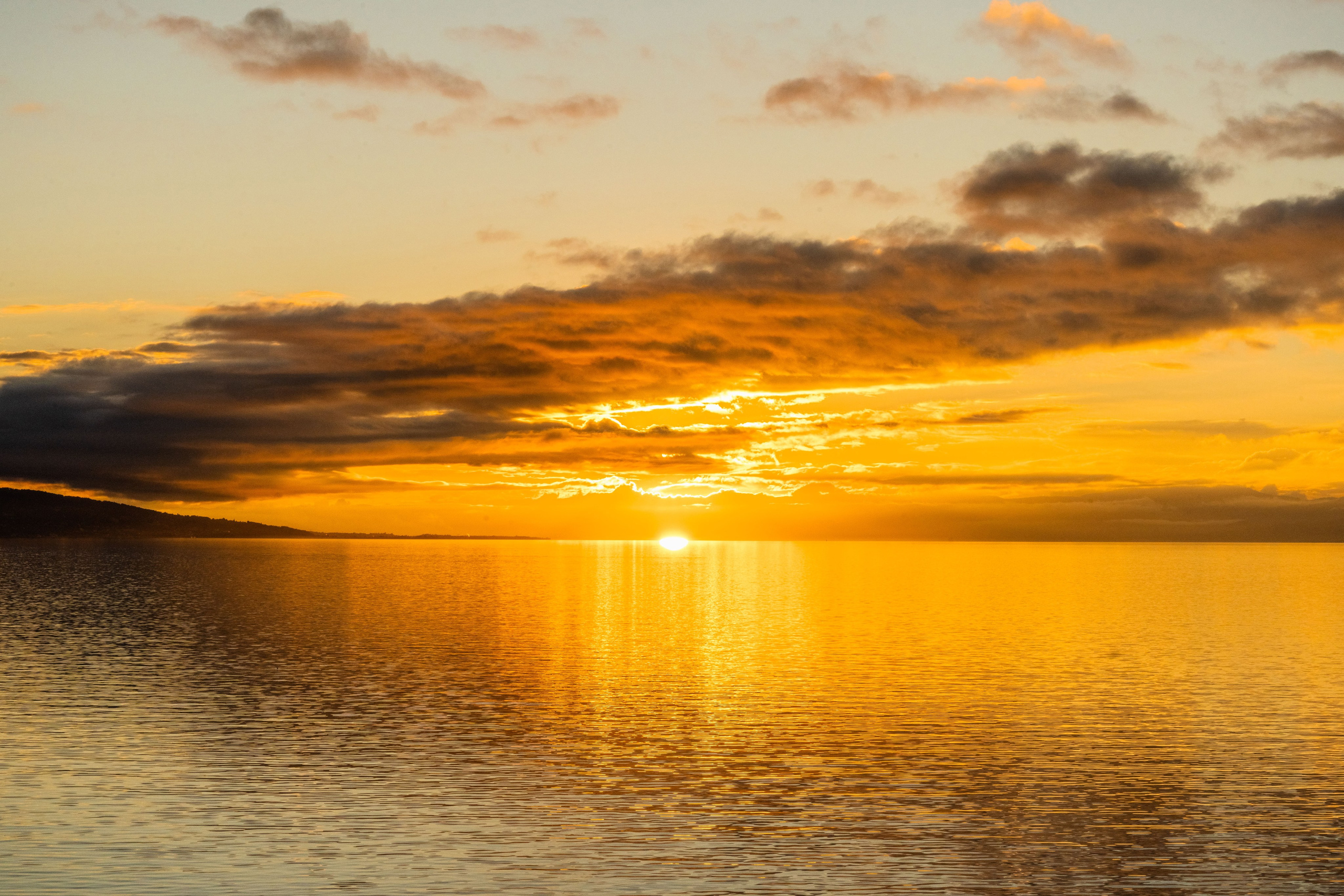 Wedding Photographer Switzerland Geneva Europe. Professional Wedding Photographer Geneva & Romande Switzerland | Tanya Creator