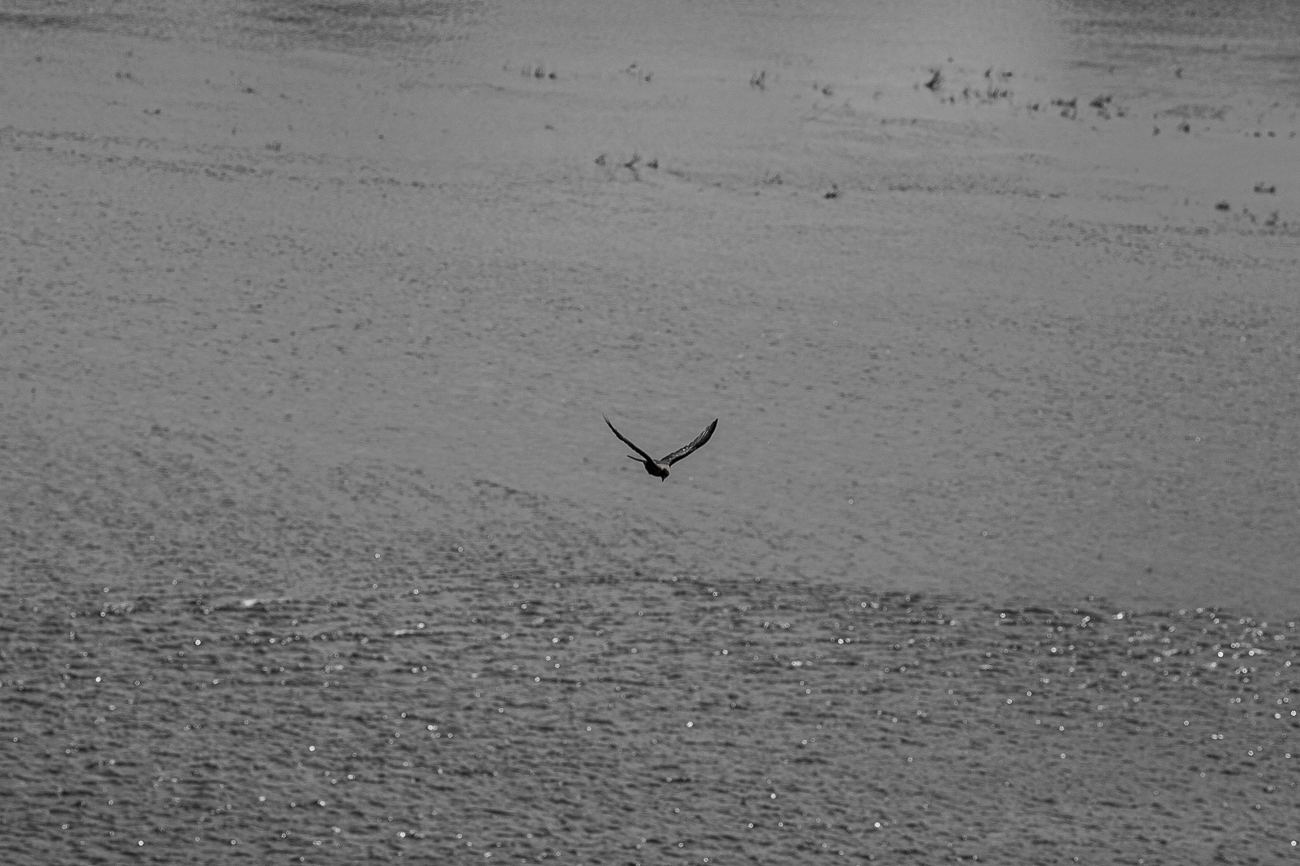 Настя в Пещёрке. Портретный фотограф в Кемерово Алеся Цайтлер