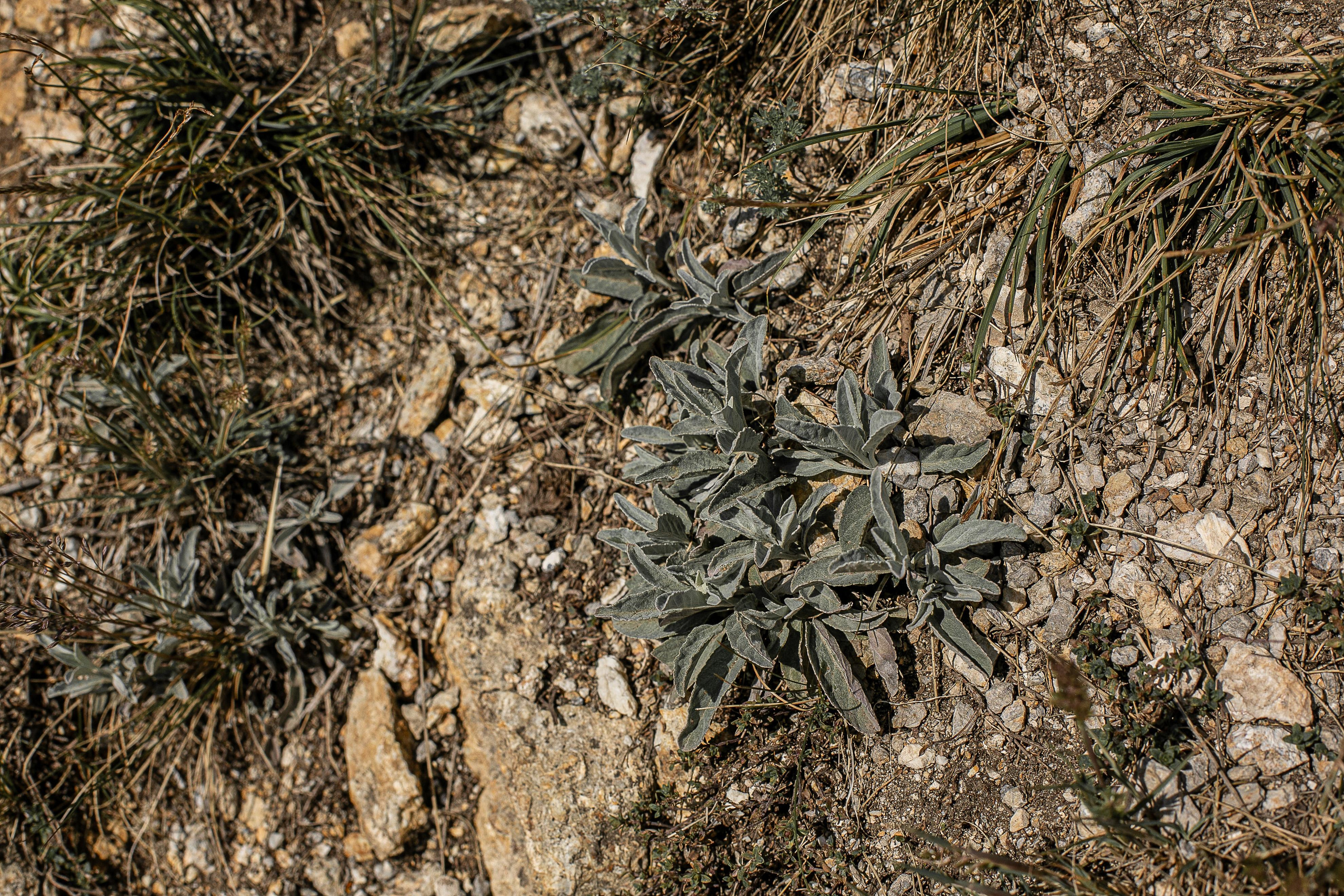 Настя в Пещёрке. Портретный фотограф в Кемерово Алеся Цайтлер