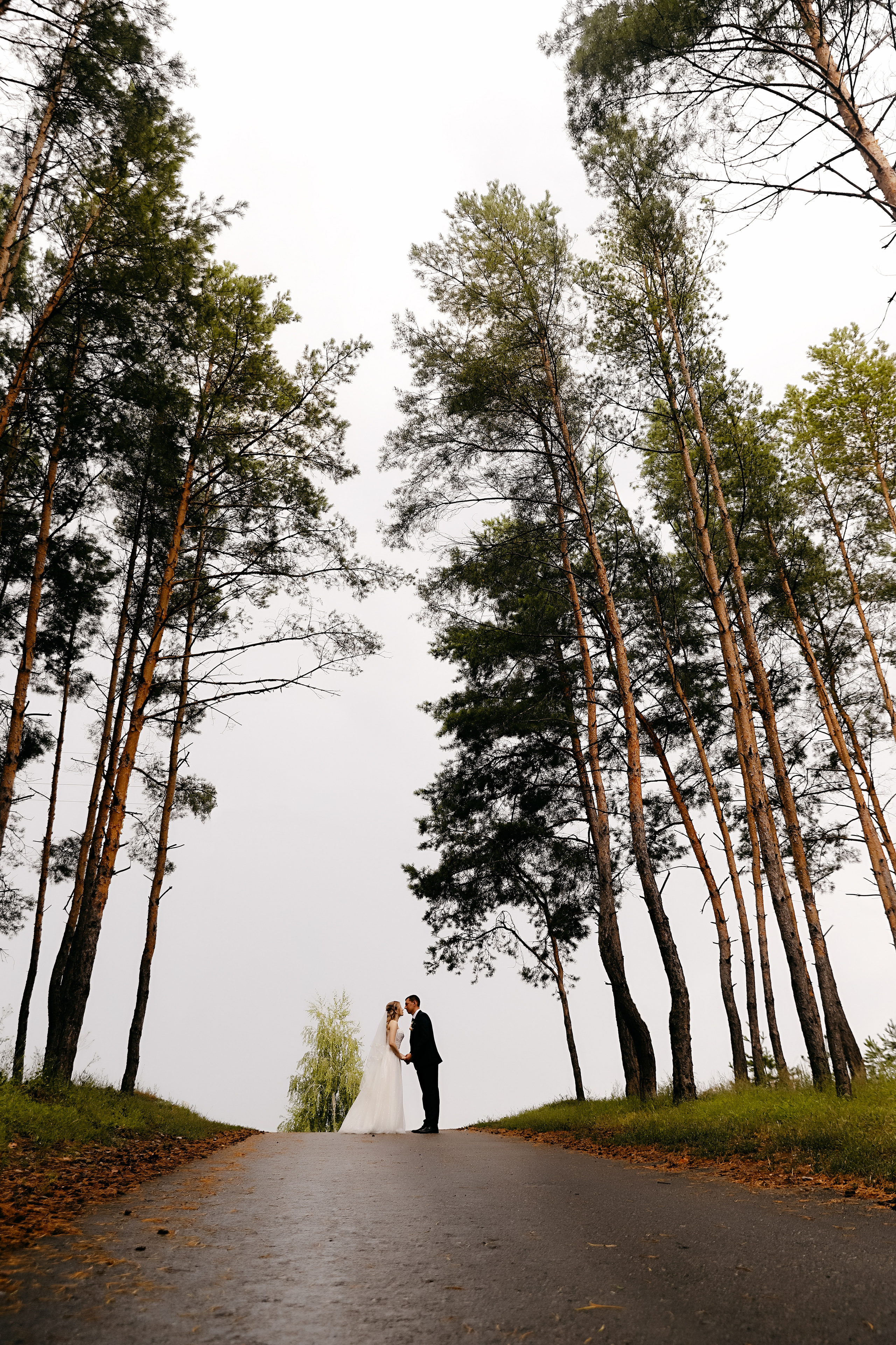 Летняя свадебная фотосессия в Волоконовке. Фотограф Белгород