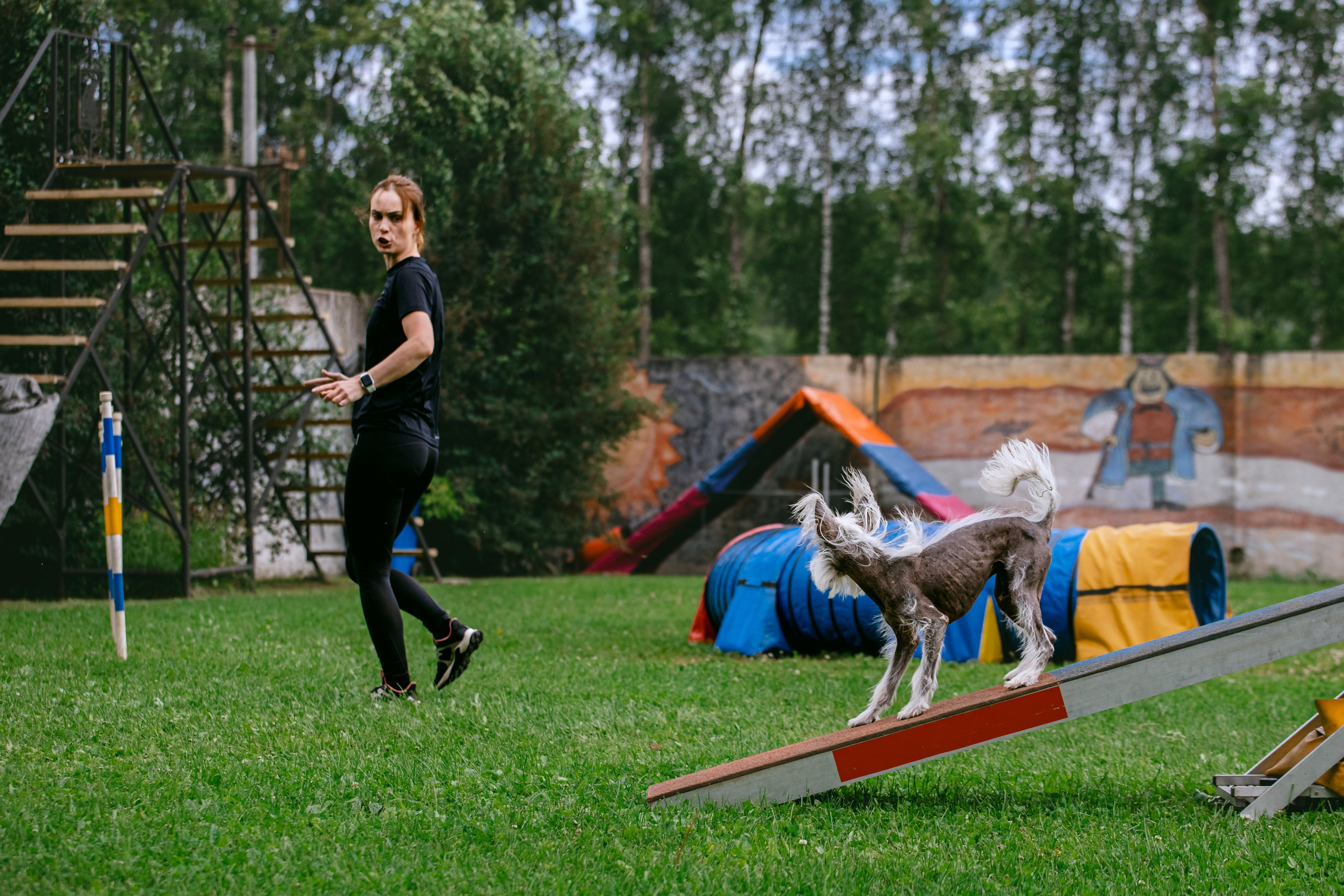 Соревнования по аджилити Долгопрудный 30.06.2025. Фотограф-анималист Татьяна Степанова