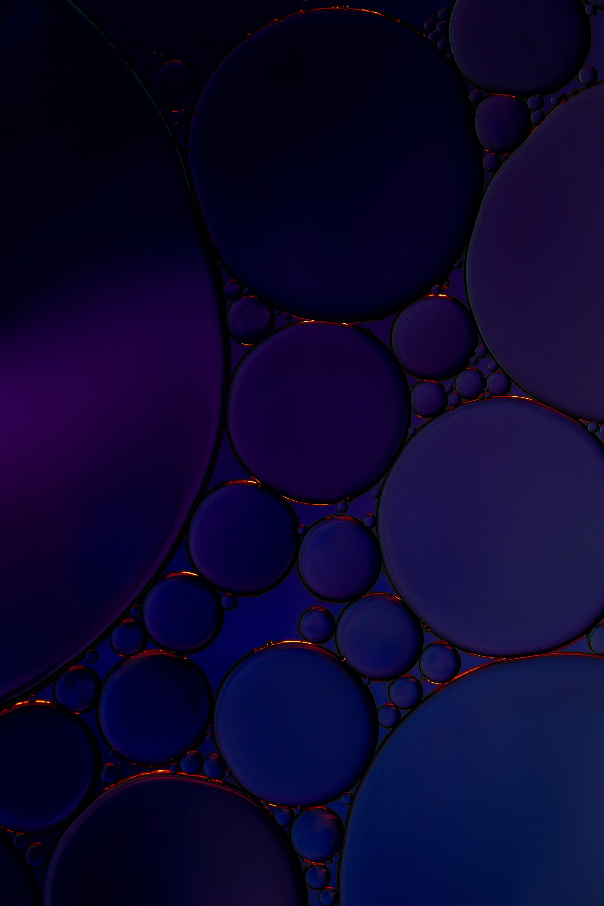 Арт-фото. Михаил Данилов | Фотограф