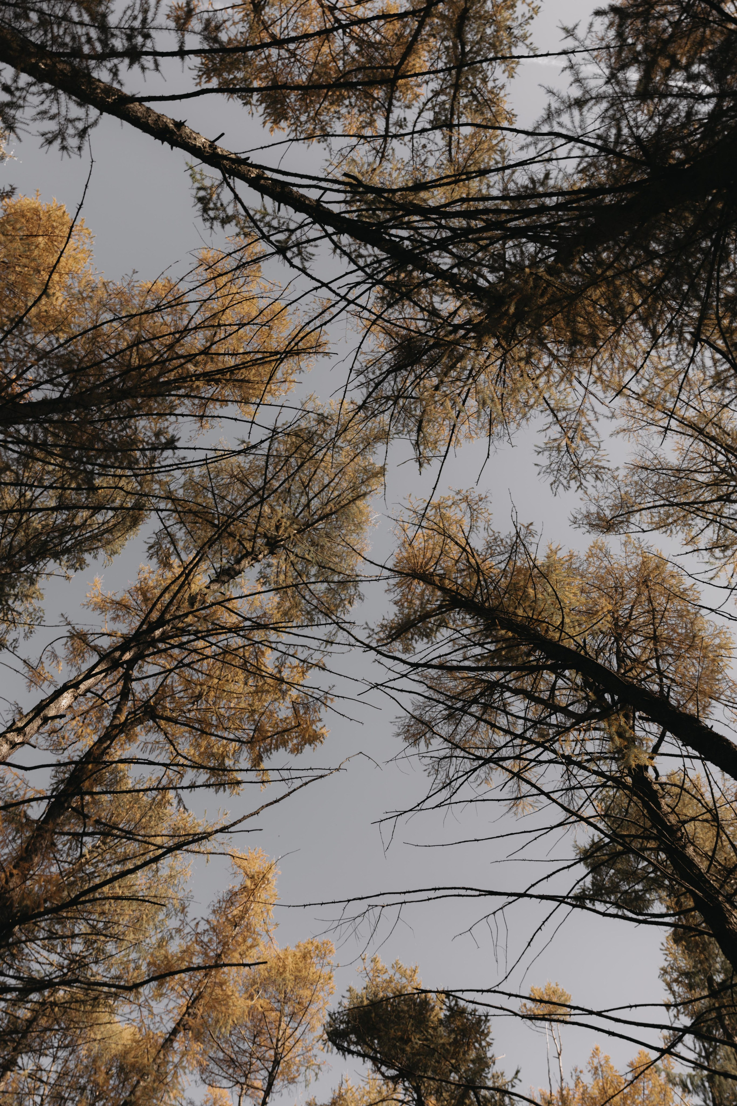 Ю & В. Женский и свадебный фотограф Москва Елизавета Перова