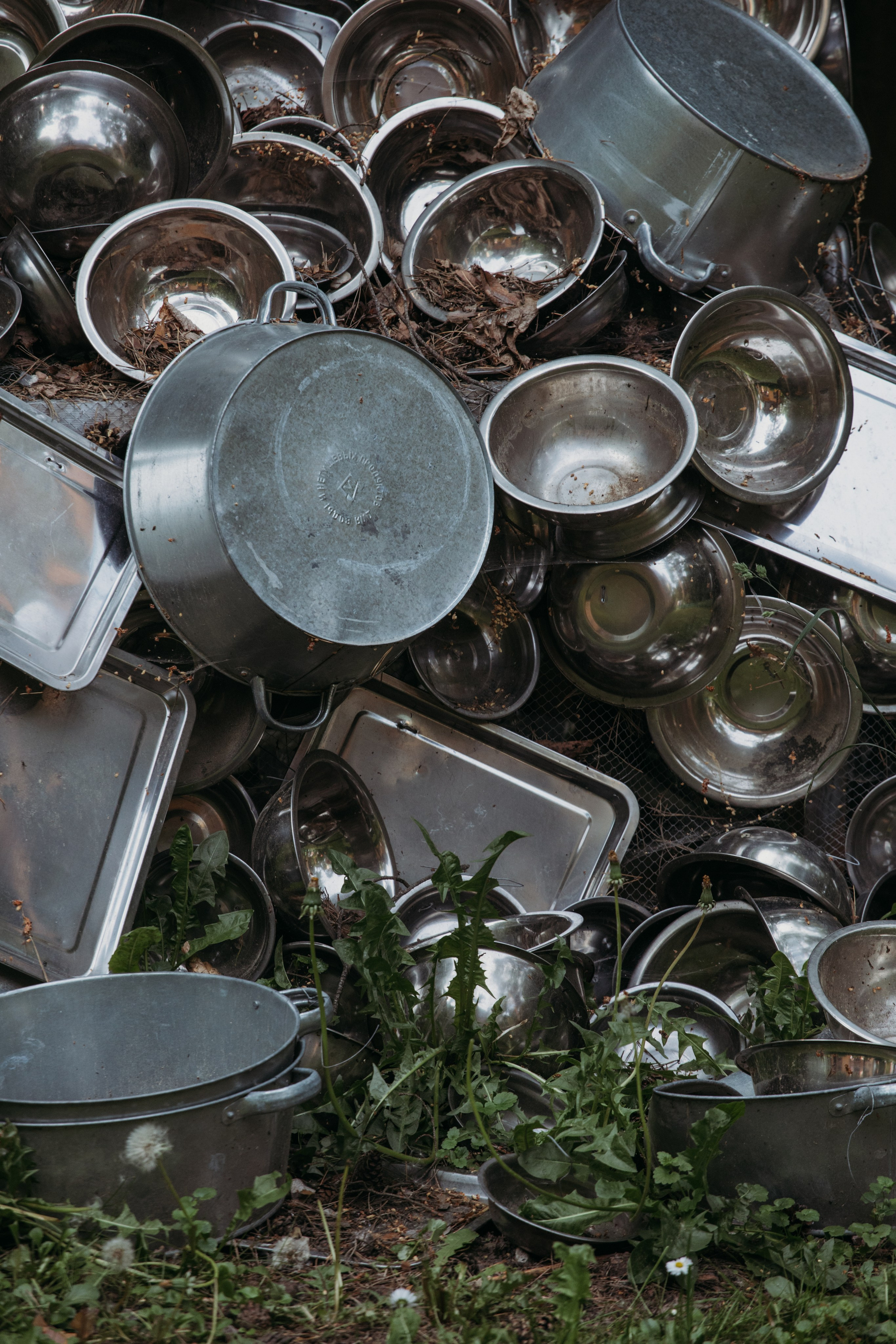 Родные люди «Переделкино». Леся Гаранина. Семейный фотограф/видеограф Москва и область