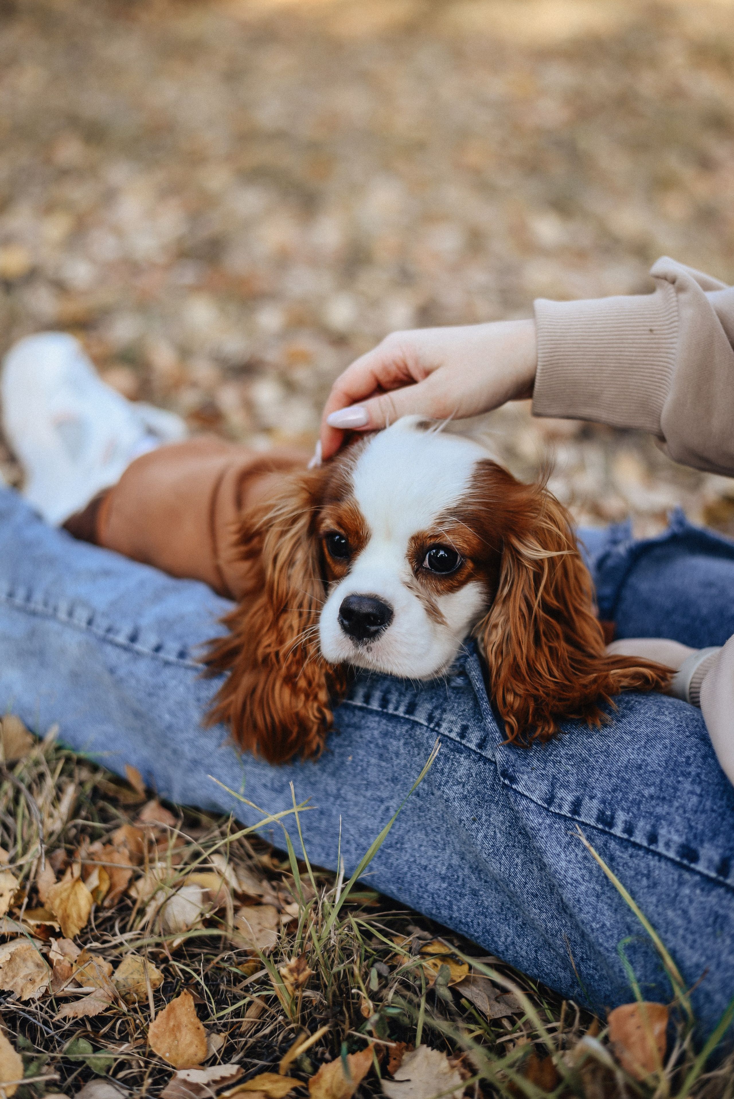 Аня + Арни. Фотограф в Москве и Королёве Сутягина Мария