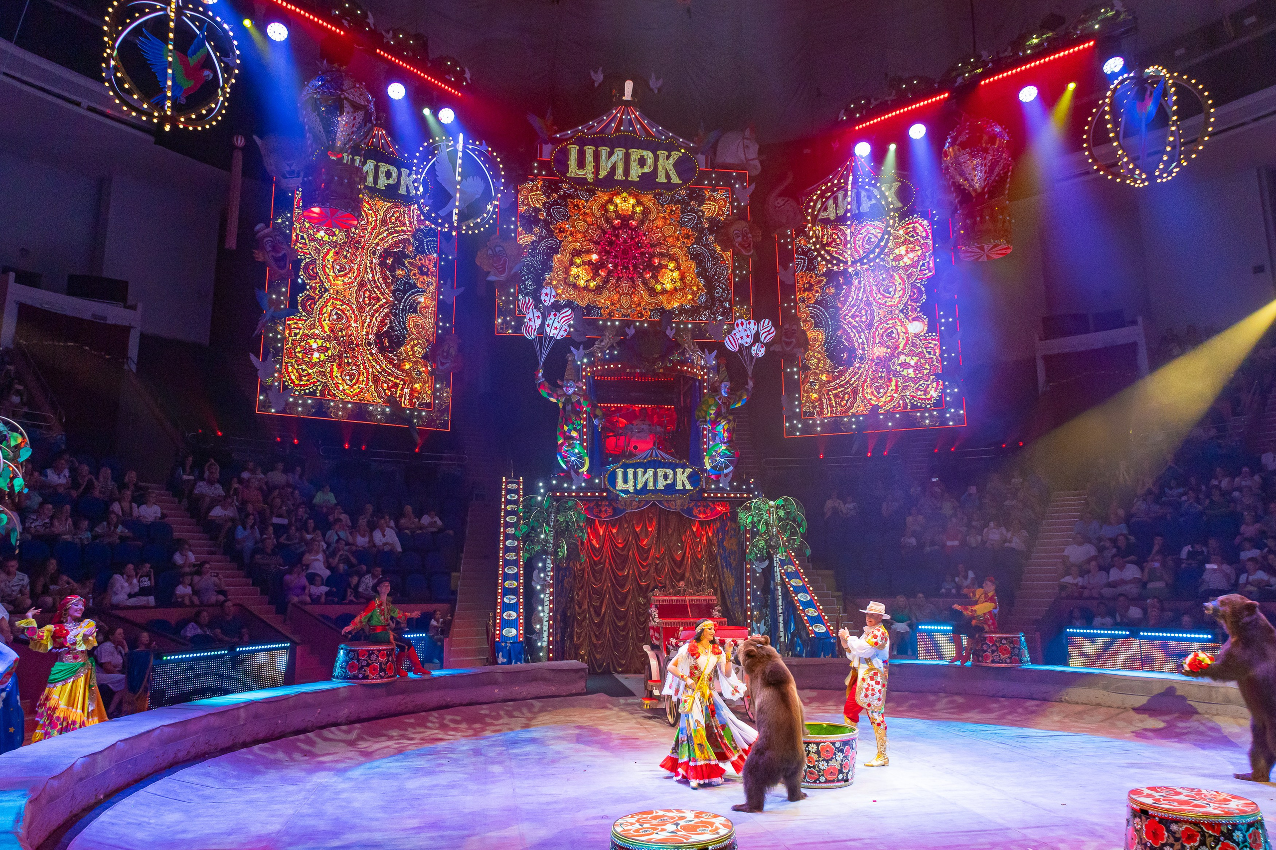 Цирк ГИИ ЭРАДЗЕ. Семейный и Свадебный фотограф в Сочи