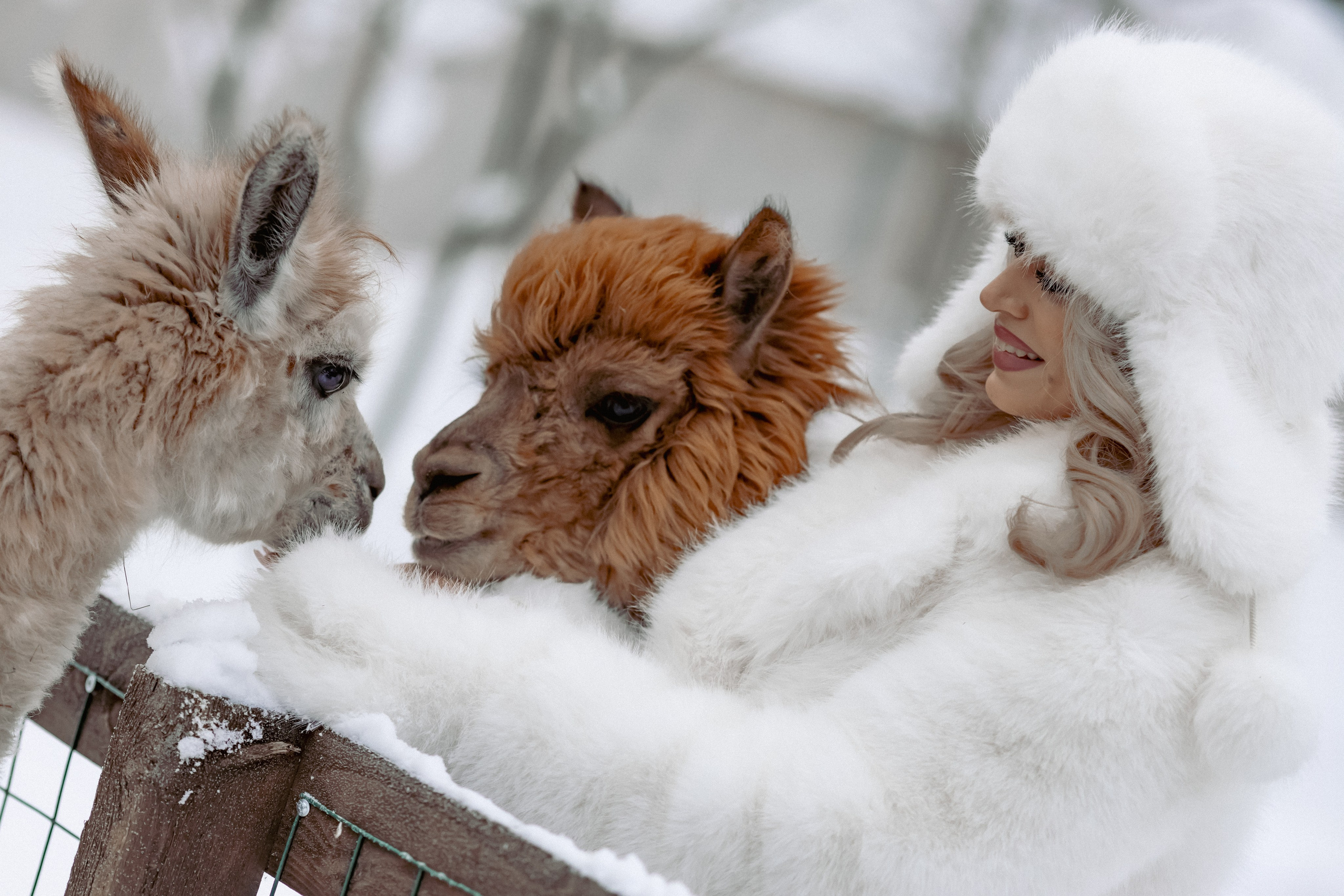 Алина. Детский и семейный фотограф Евгения Вахнеева Москва Зеленоград