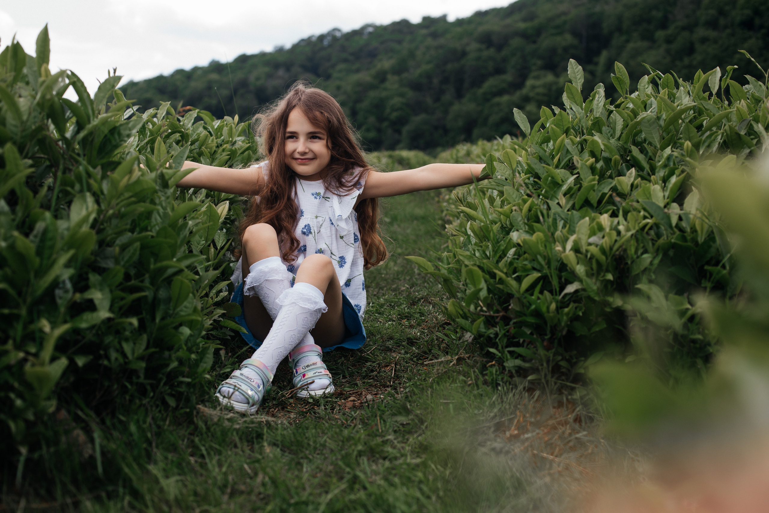 Tea plantation. Efimova Model Agency