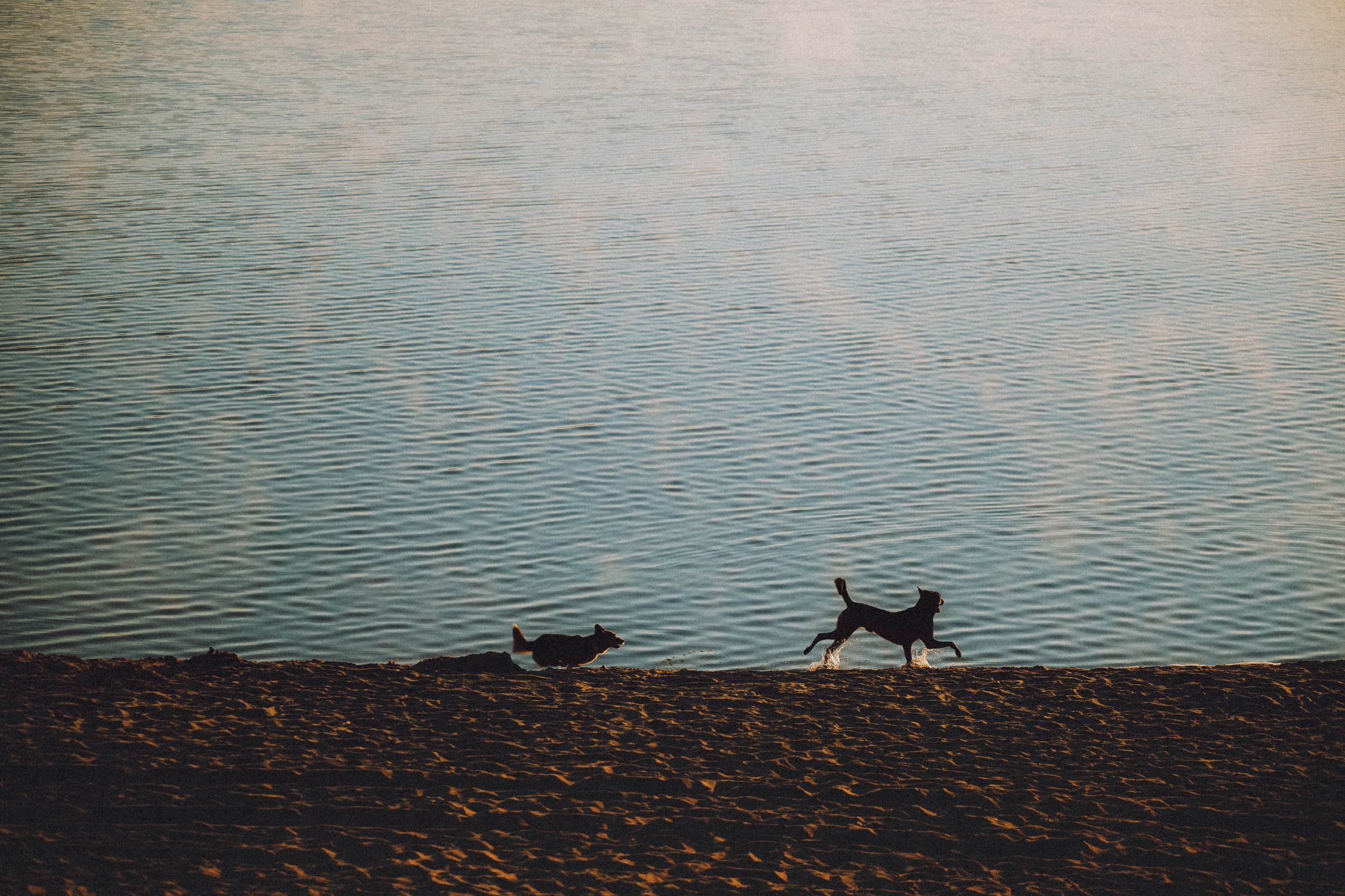 Таня, Ерш и Оллик