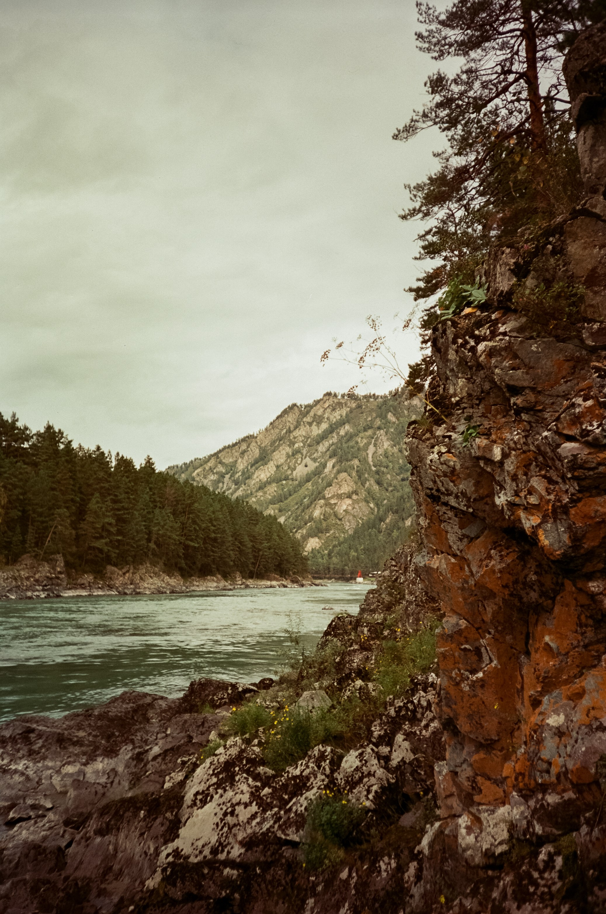 Село Черга в Верхах Алтая. Лошадки в Манжероке и панорамы Катуни. Фотограф-документалист Мария Осокина