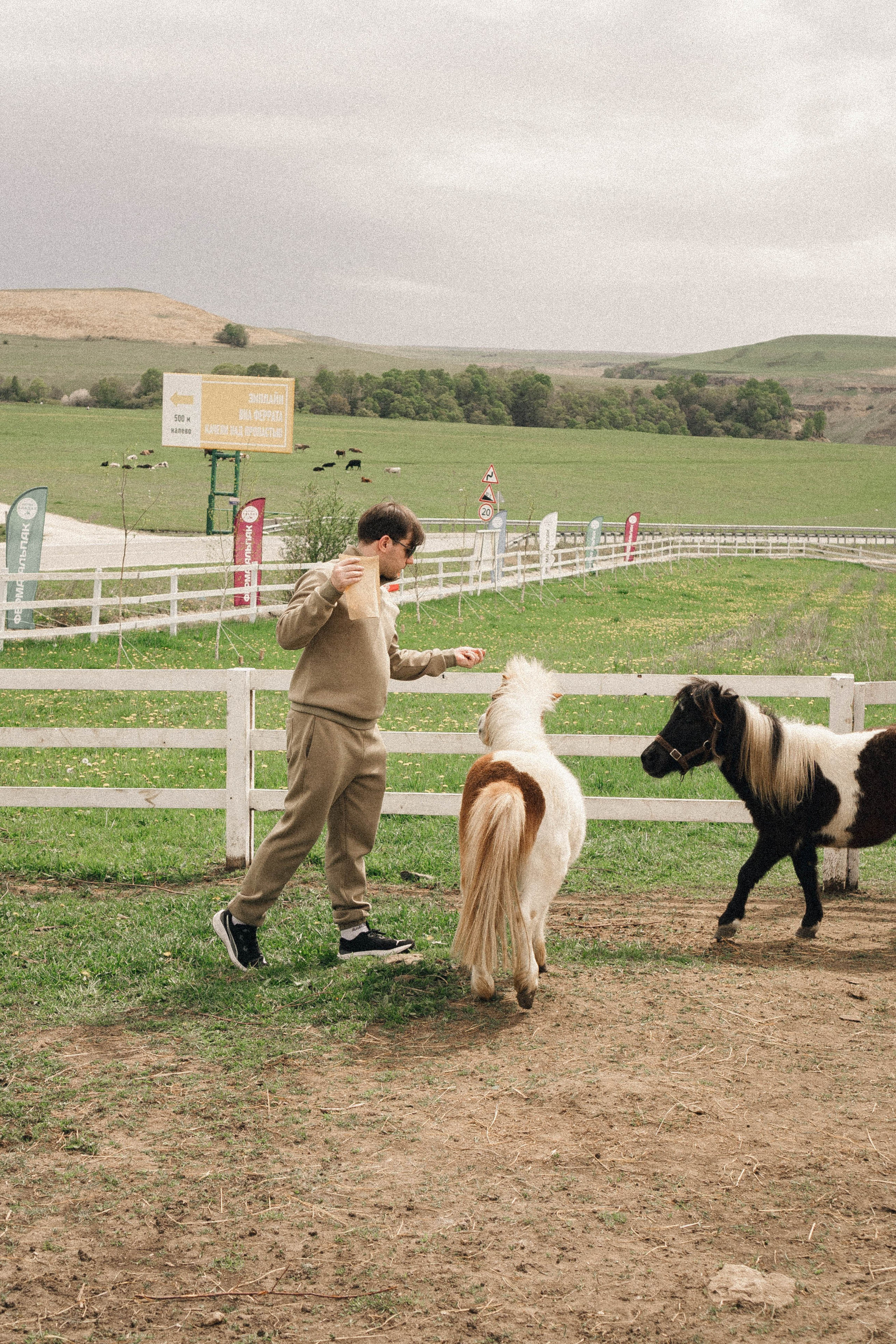 Ферма Альпак. Профессиональный фотограф, Санкт-Петербург — Виктория Богомолова