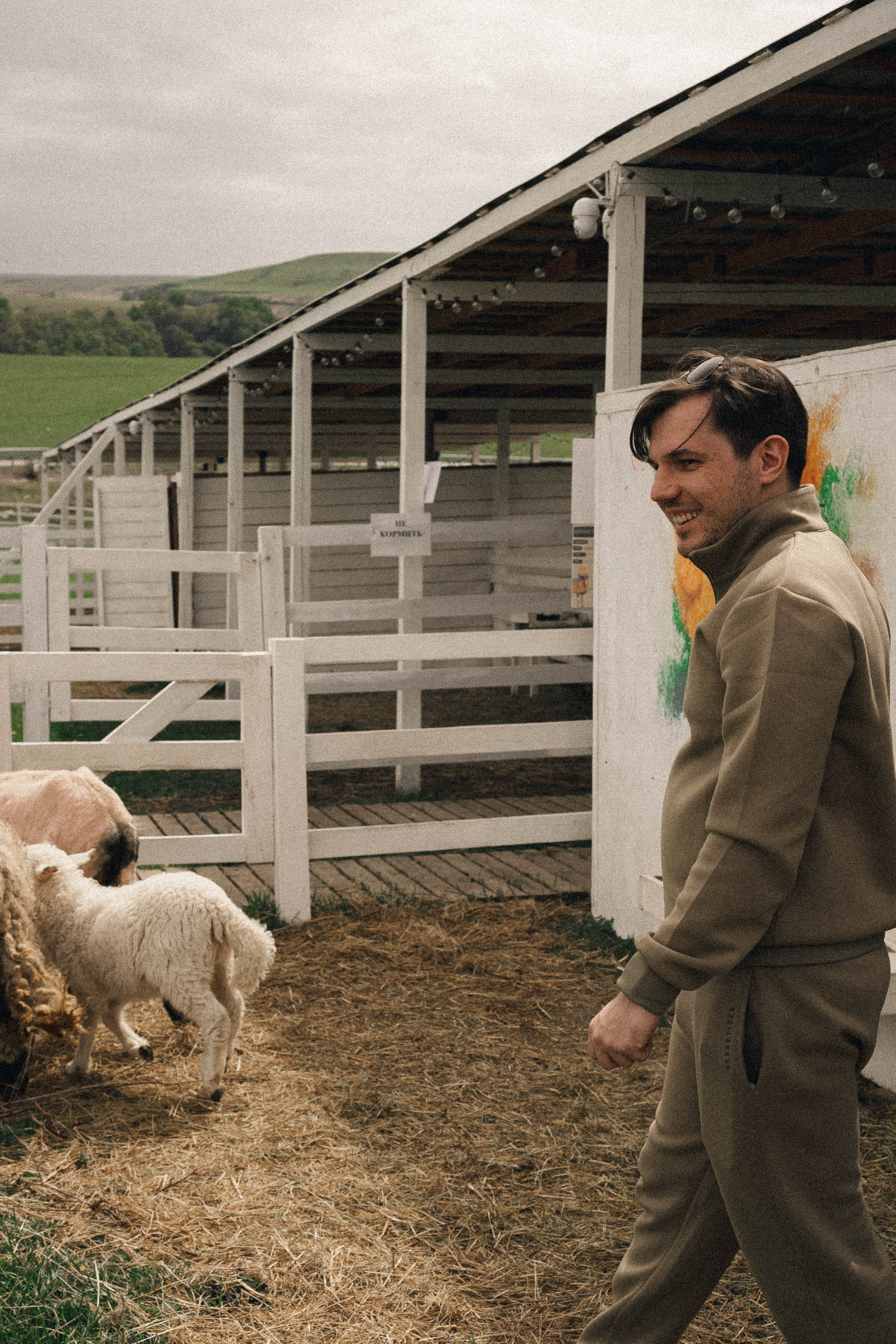 Ферма Альпак. Профессиональный фотограф, Санкт-Петербург — Виктория Богомолова