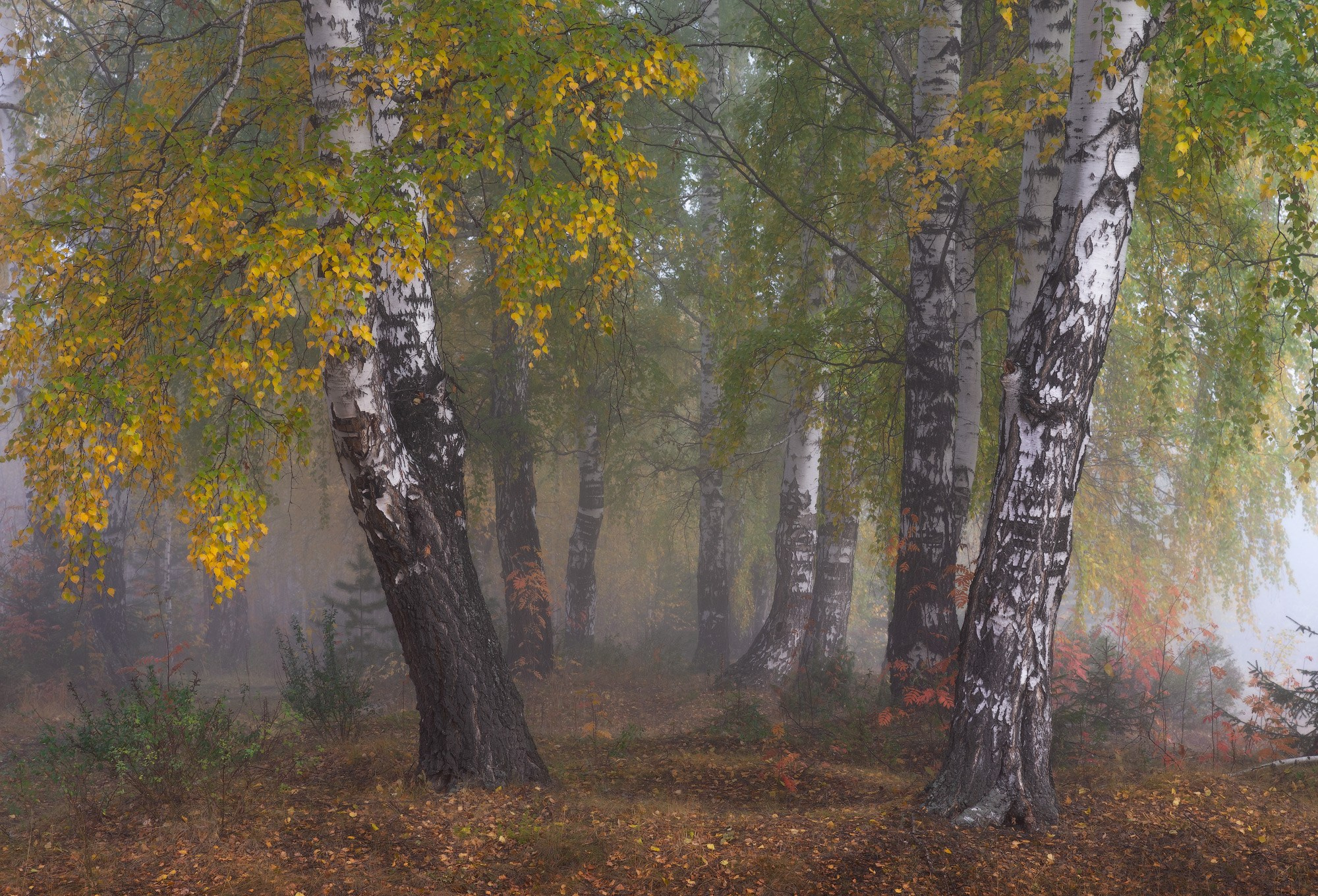Туманное утро в Черноисточинске: пейзаж, словно сошедший с полотна художника.