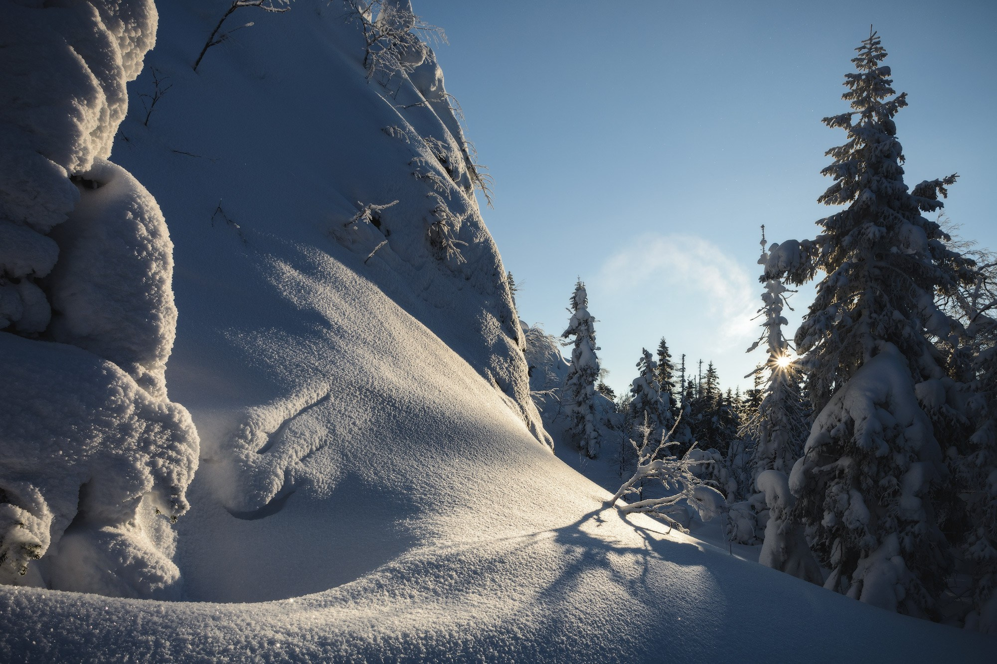 Зимний лес, тишина царит среди заснеженных елей на горе Белая. 