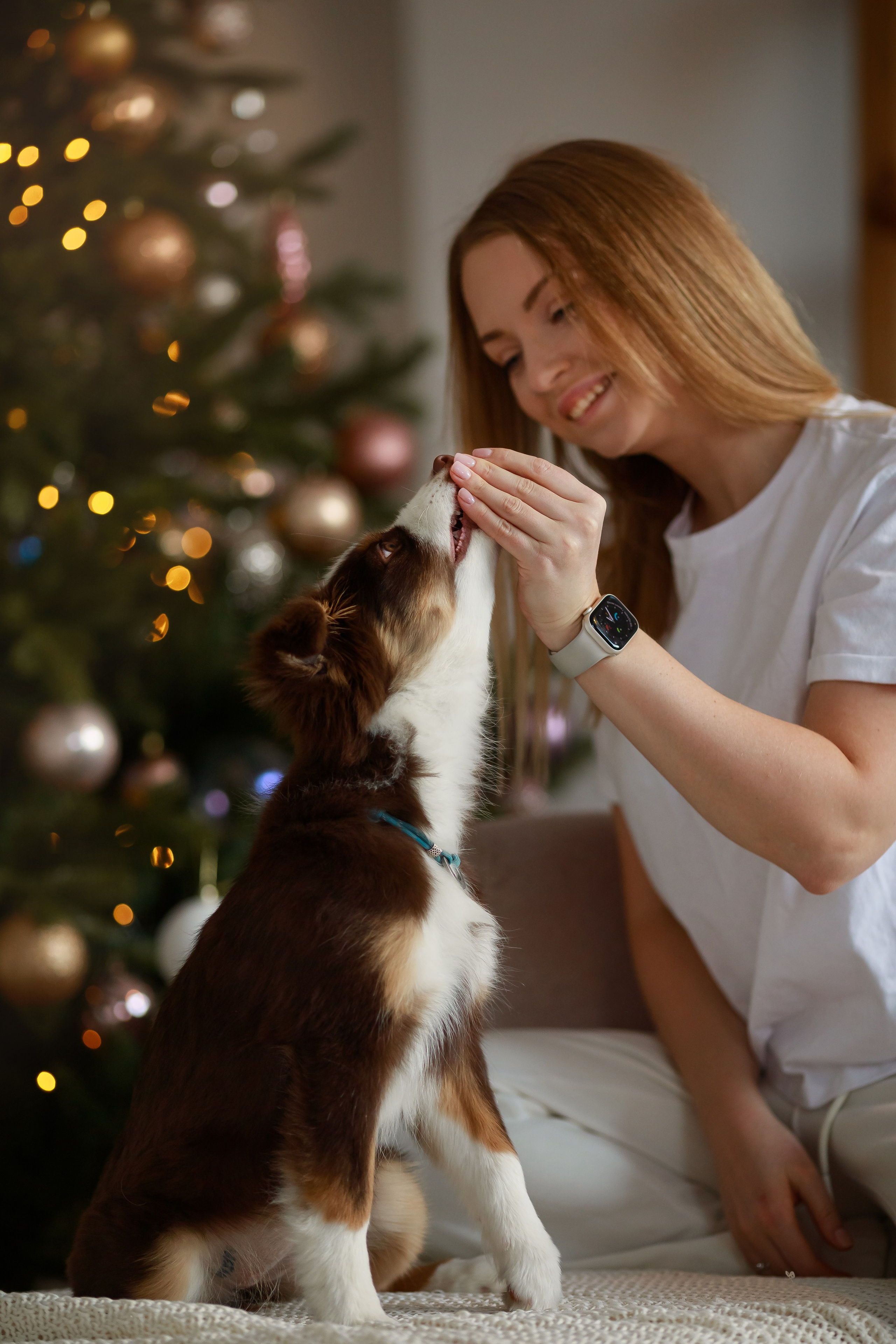 Новогодний альбом. Не просто красивые фотографии, а ваши лучшие кадры!