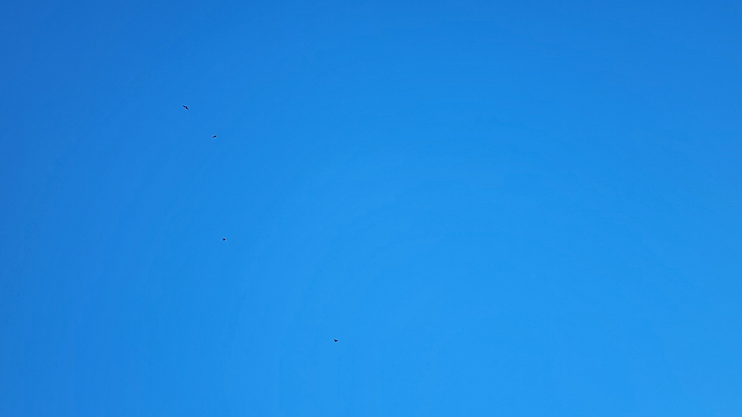 Горячий Ключ (2024-09-22). Собор Отрасли