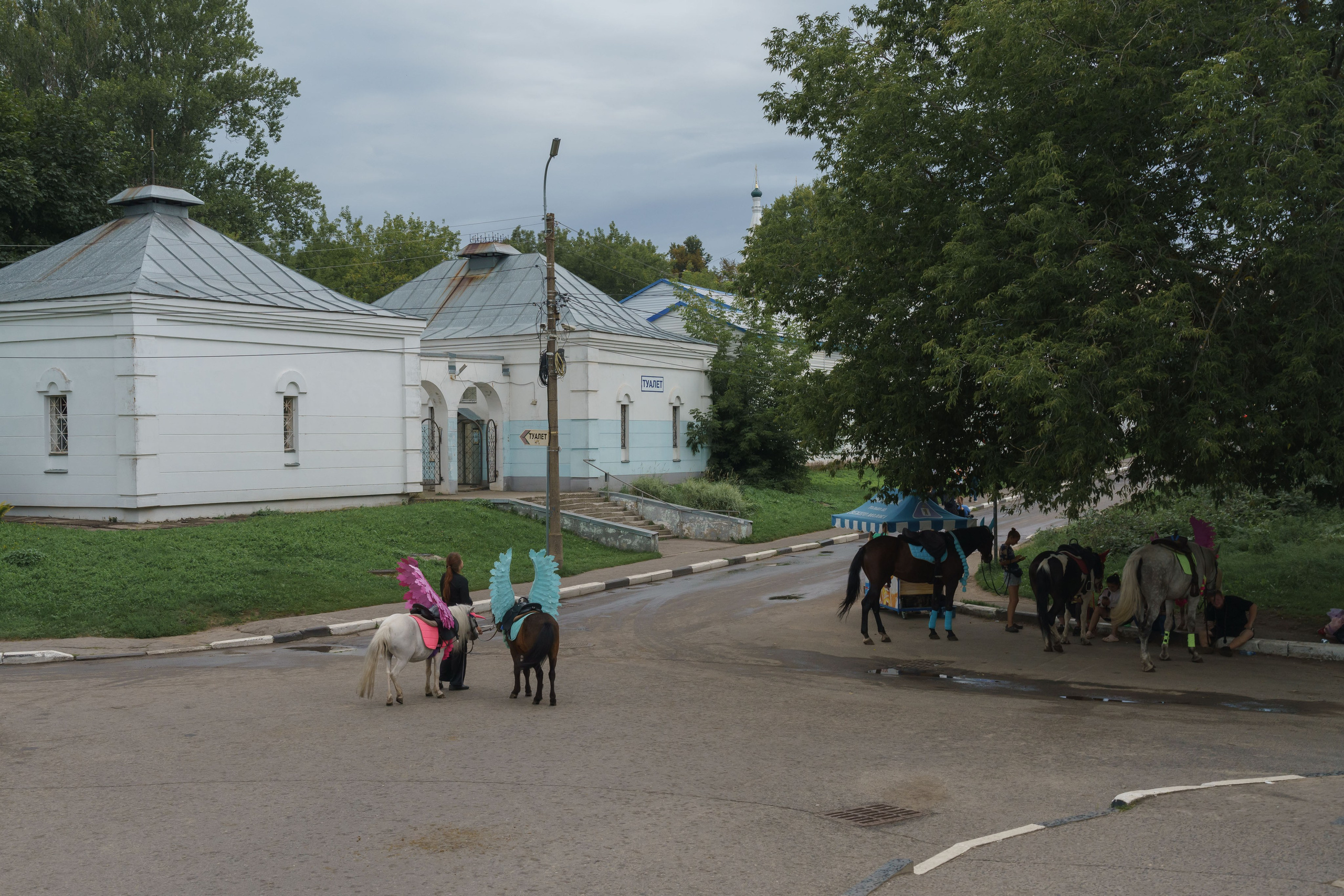 Жизнь внутри Золотого кольца. Pavel Basin