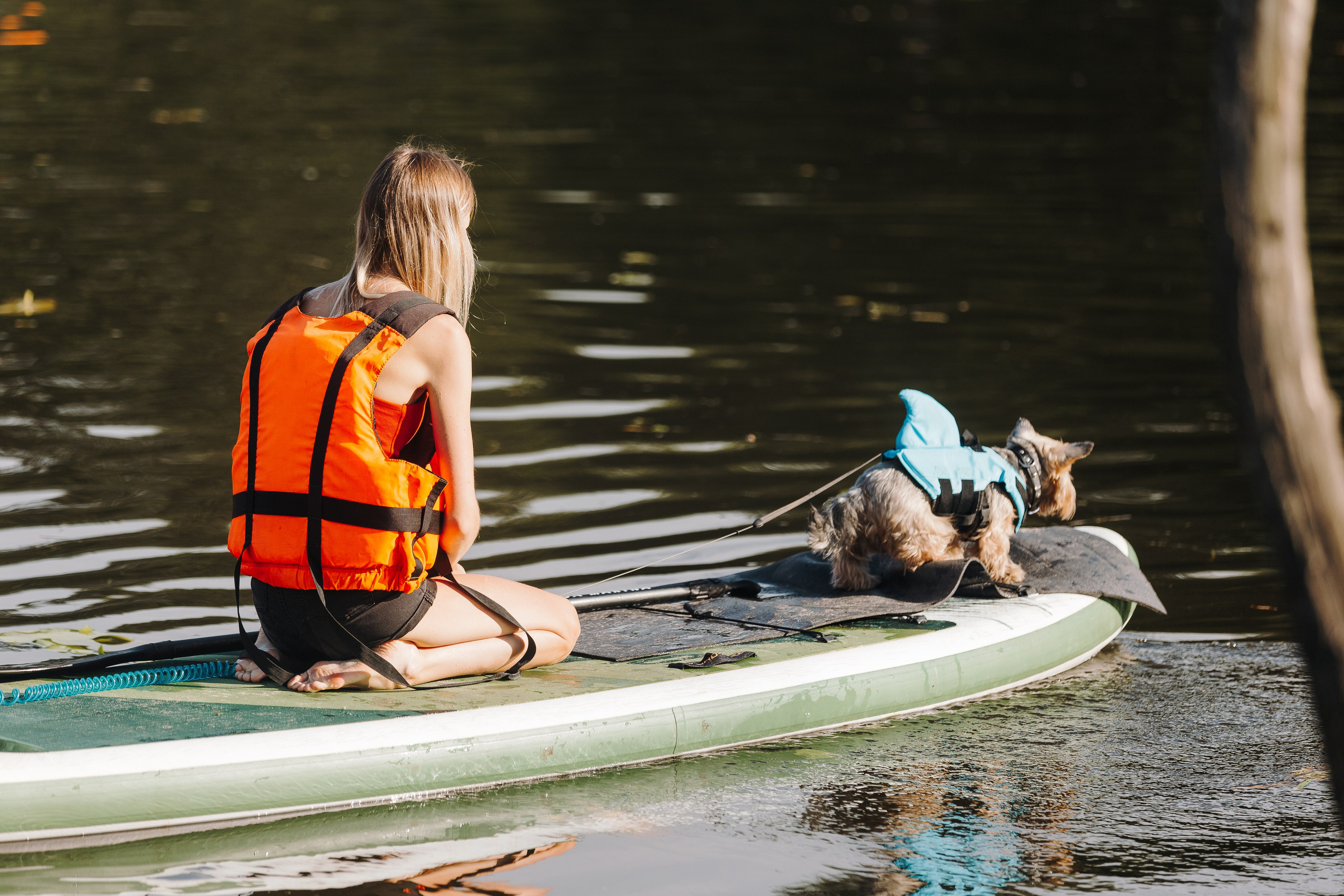 Petshop Sup day. Фотограф анималист Кристина Карпова, Москва