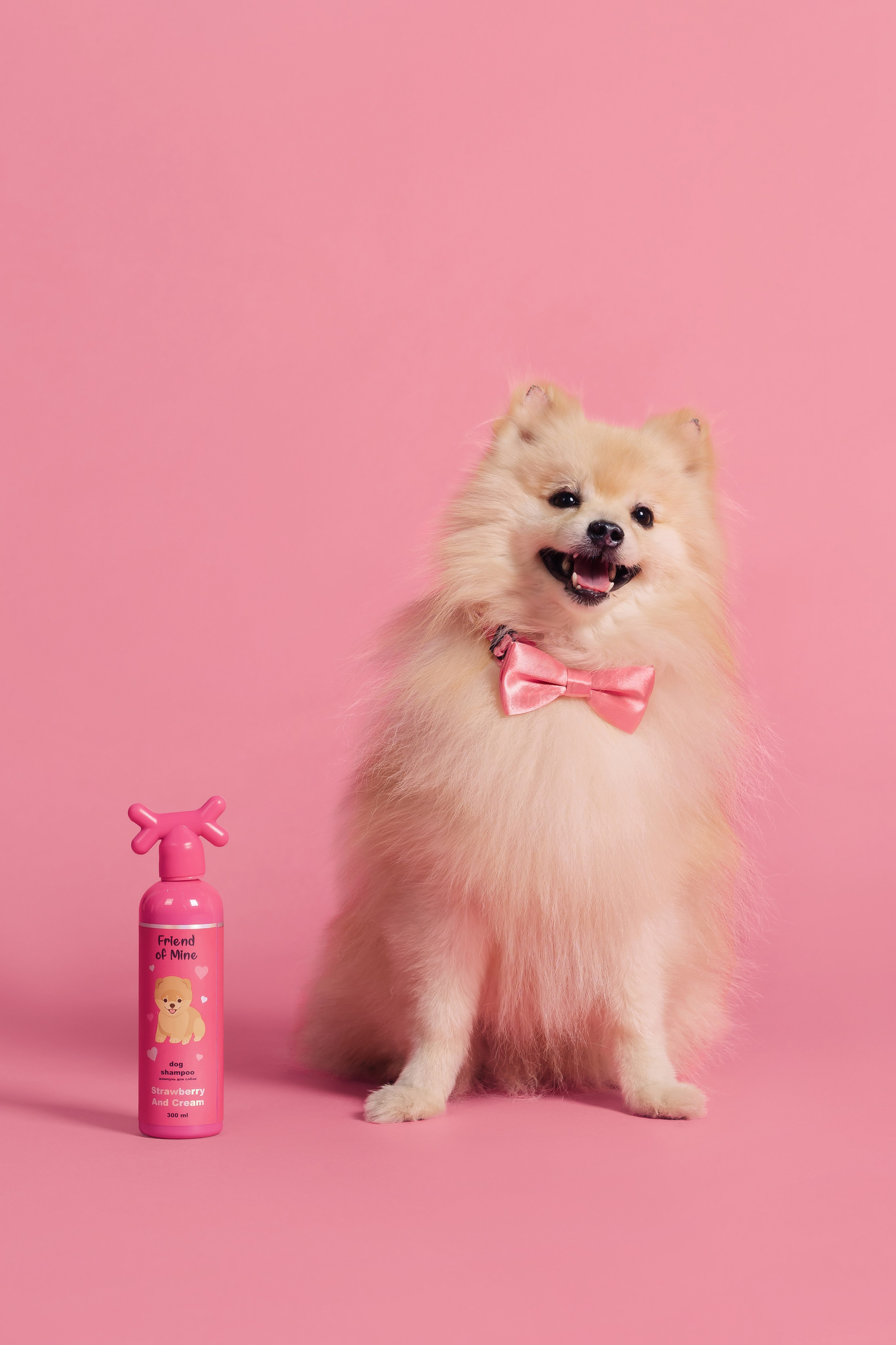 Магазин Friend of mine. Фотограф-анималист Елена Радченко, Москва