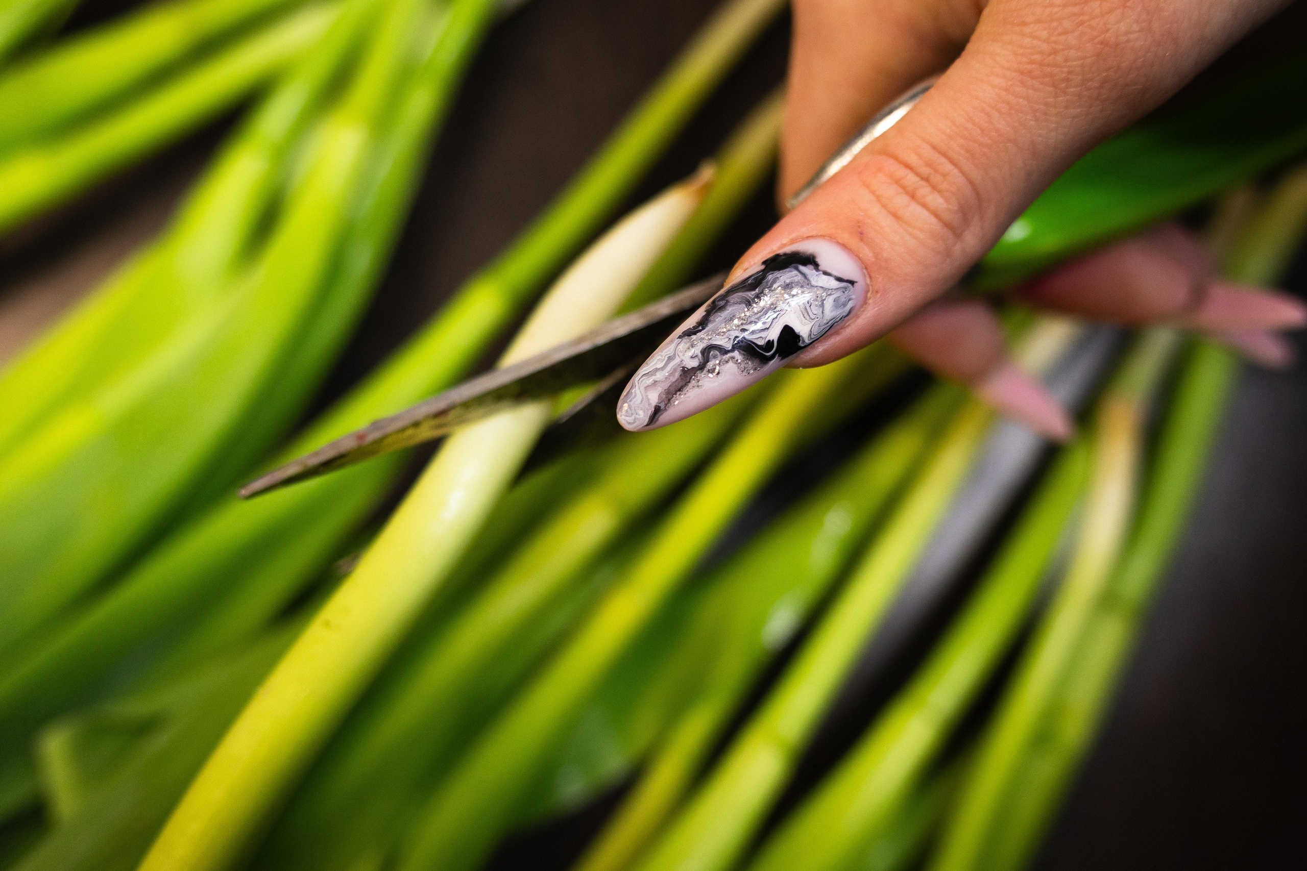 срез ножки тюльпана флористом, крупный план