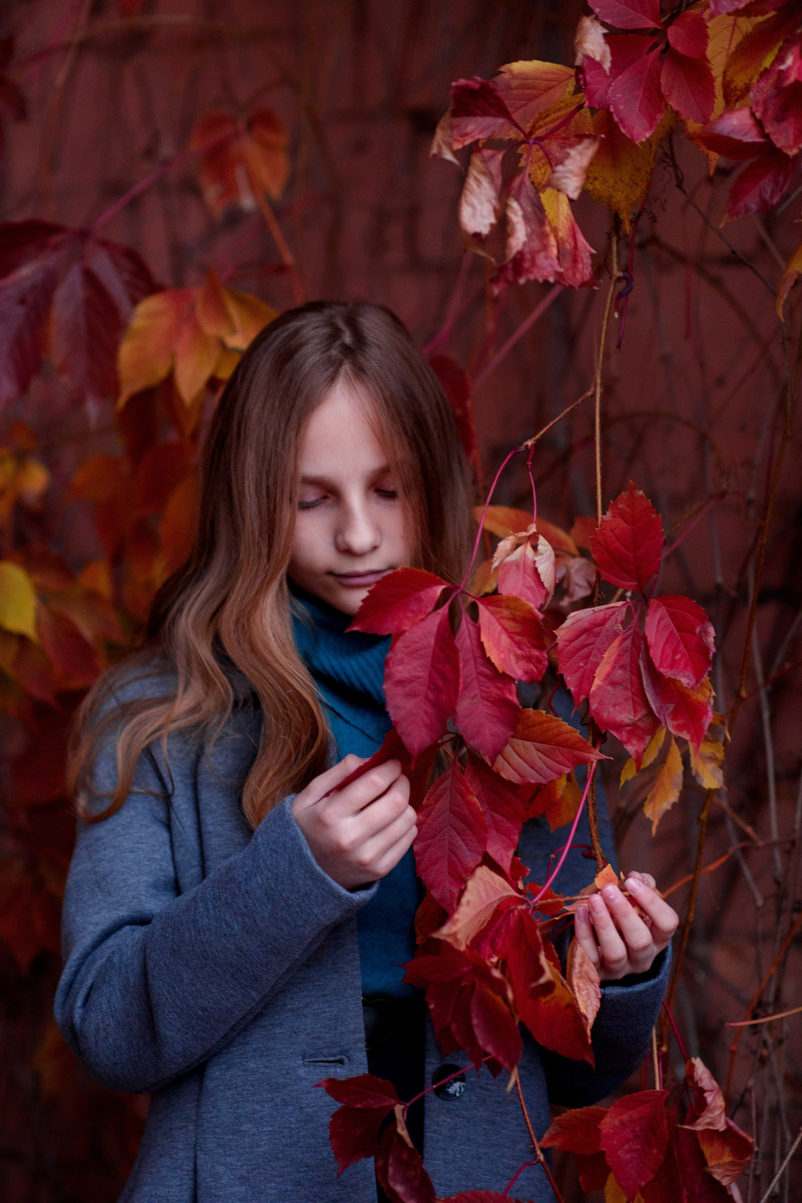 Фотосессия на фоне красного дикого винограда. Главная