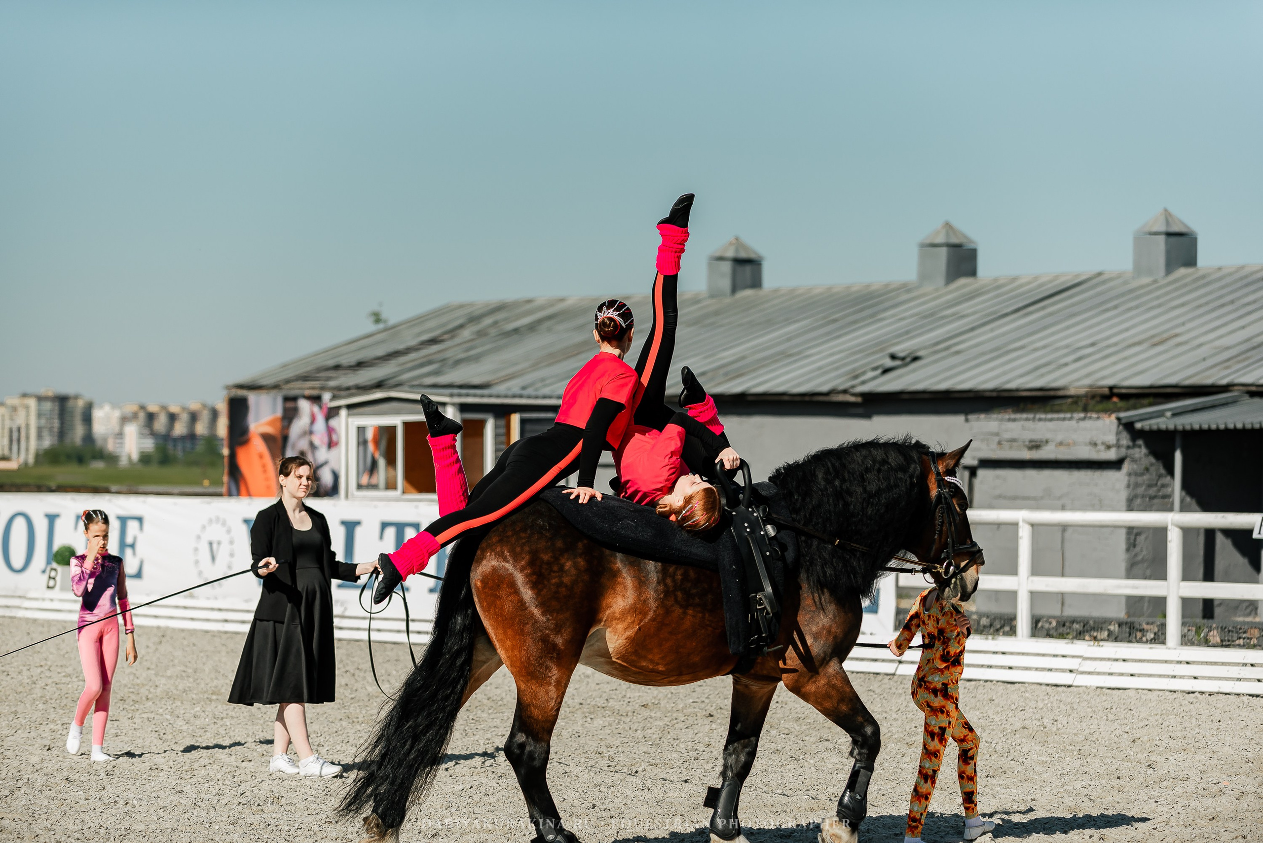 РЕПОРТАЖ МКК ВОЛЬТ «LA TULIPS». Конный фотограф Куракина Дарья • Фотосессии с лошадьми