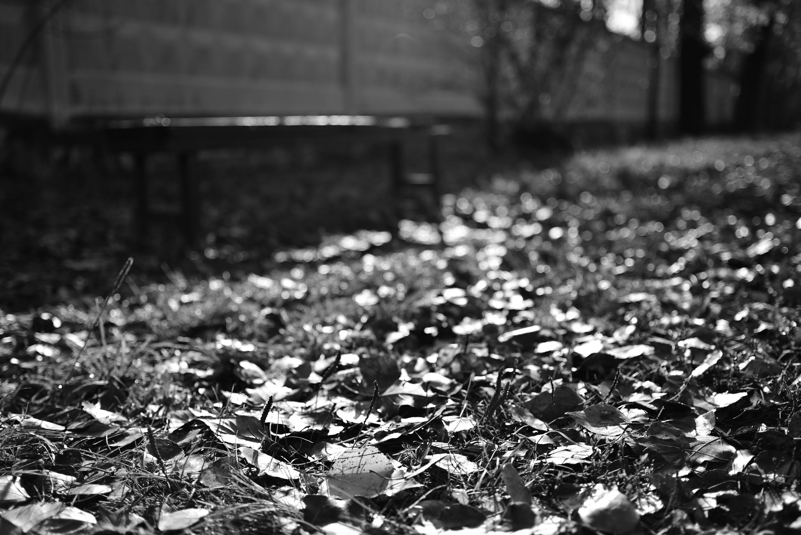 Октябрь над Волгой. Фотосъёмка праздничных мероприятий, портретная съёмка в Самаре, Пётр Бубняев