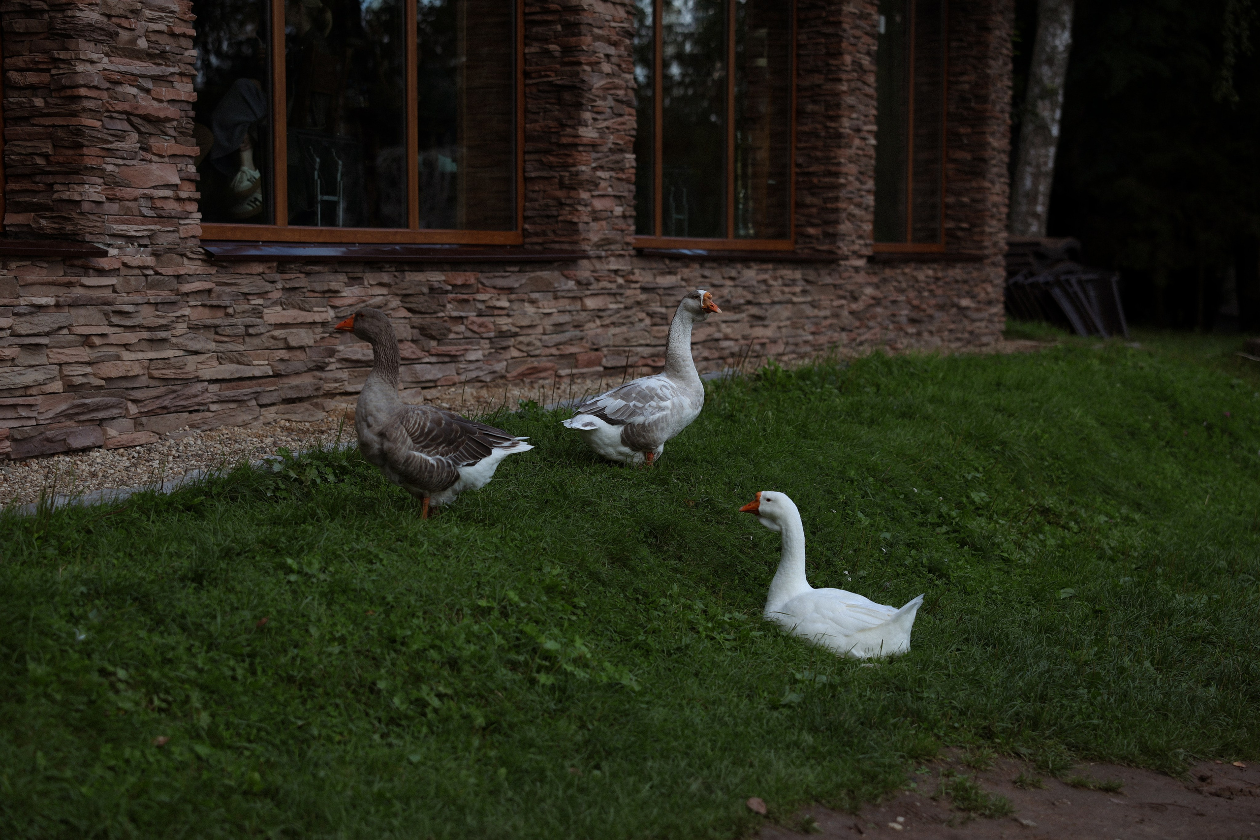 «Магия выставленного света» — Анна и Милан. Свадебный и семейный фотограф в Москве Ломова Ирина