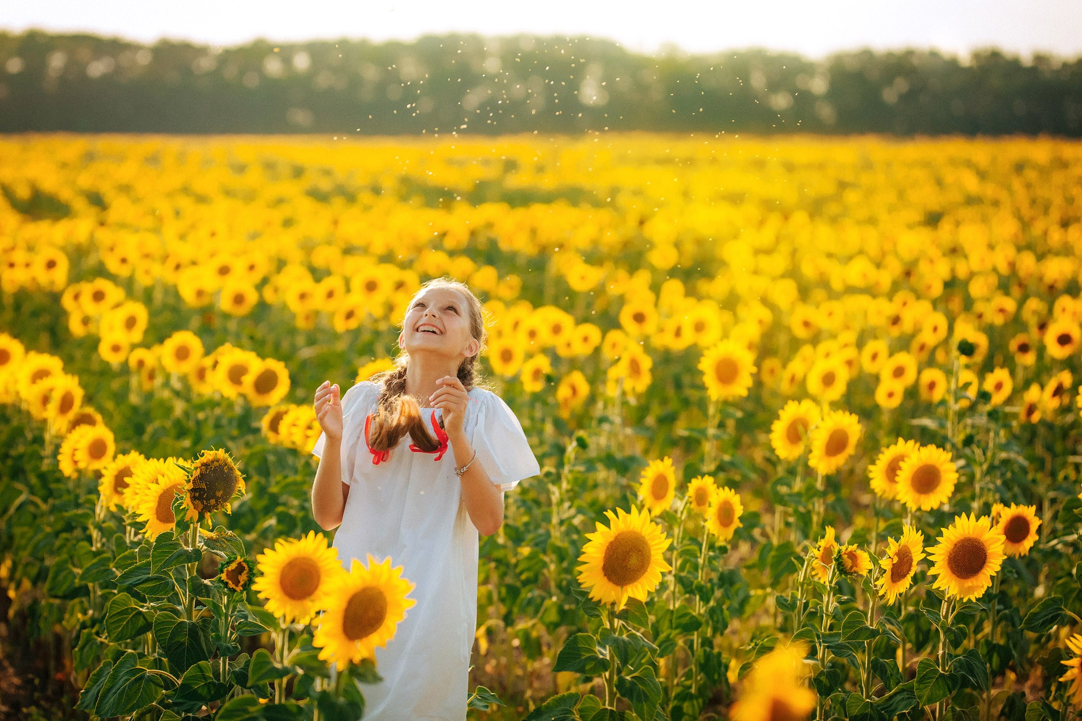 Подсолнухи!. Семейный, детский, свадебный, фотограф в городе Анапа