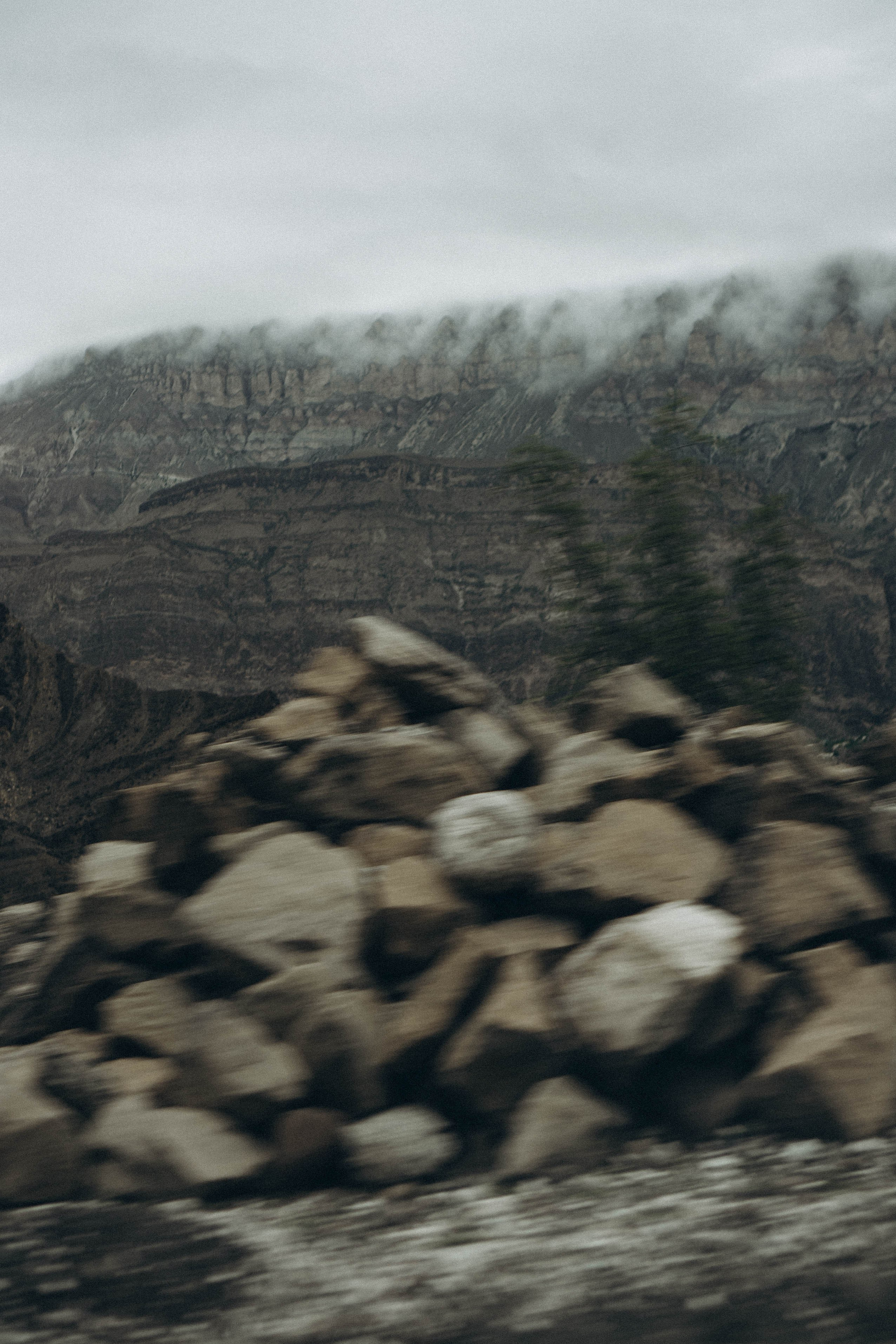 Кавказ. Профессиональный фотограф, Санкт-Петербург — Виктория Богомолова