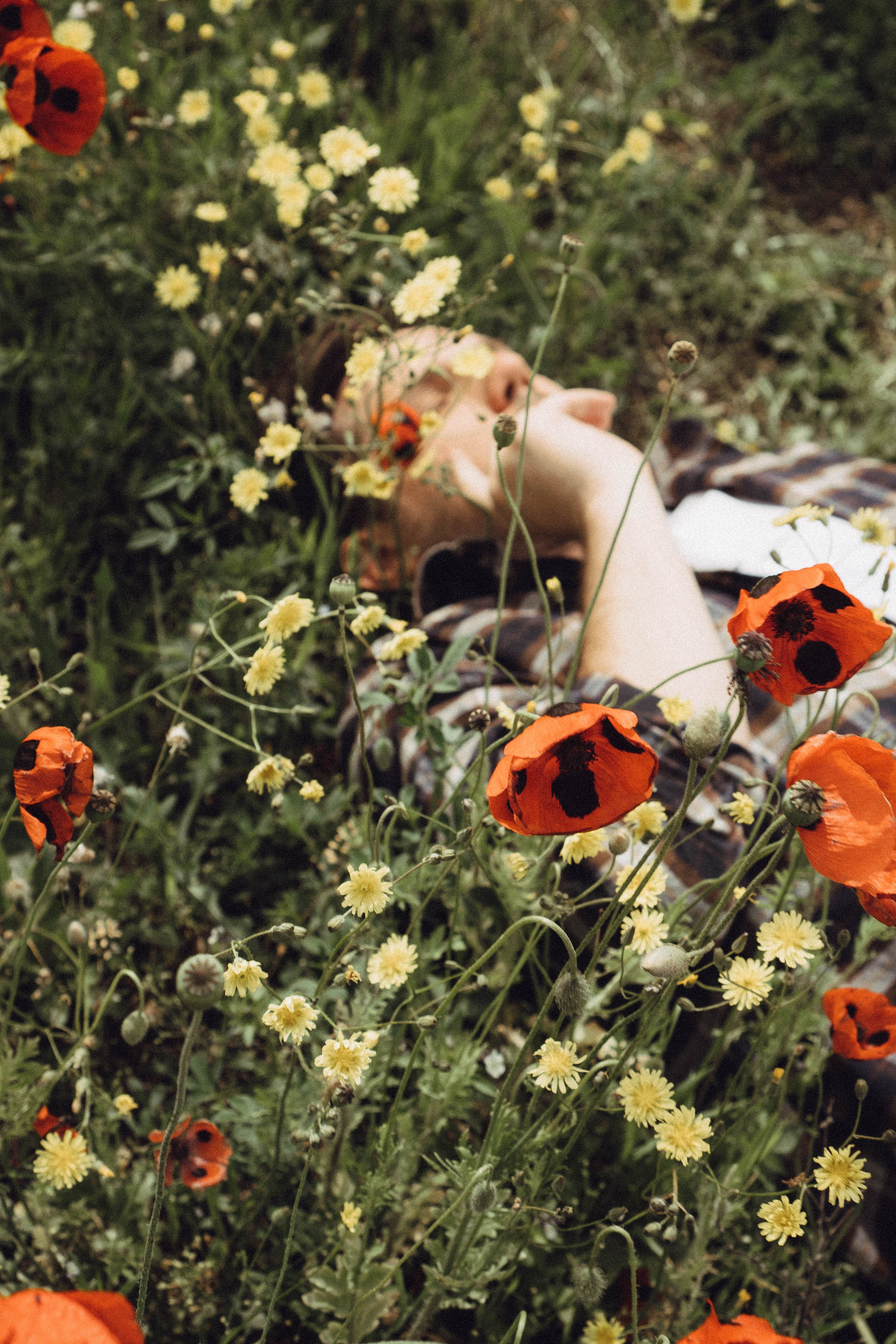 Маки. Профессиональный фотограф, Санкт-Петербург — Виктория Богомолова