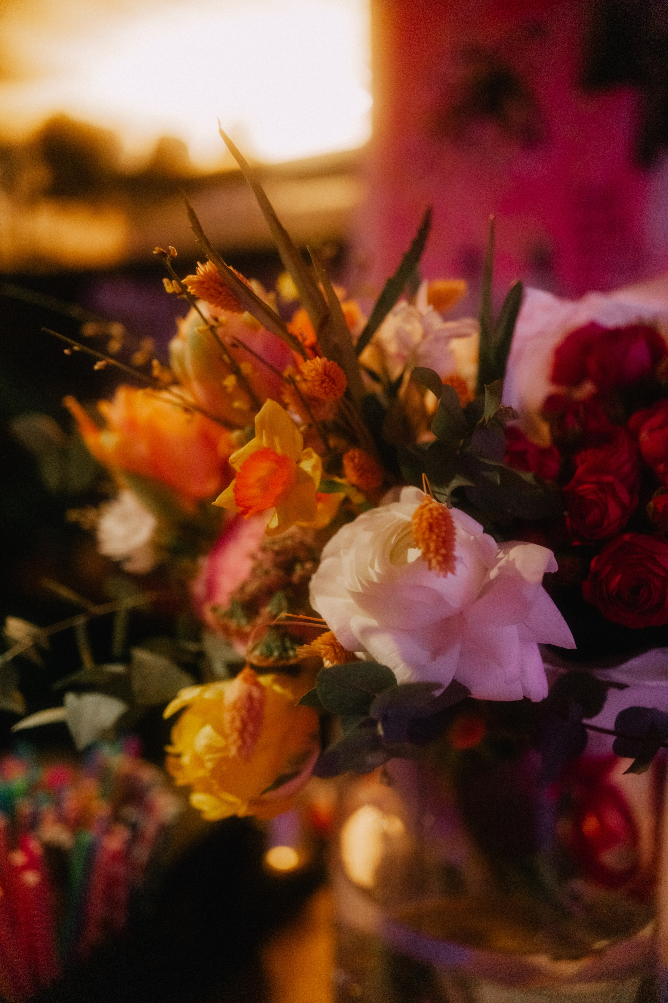 Свадьба и мероприятия. Фотограф Анастасия Чеботарева