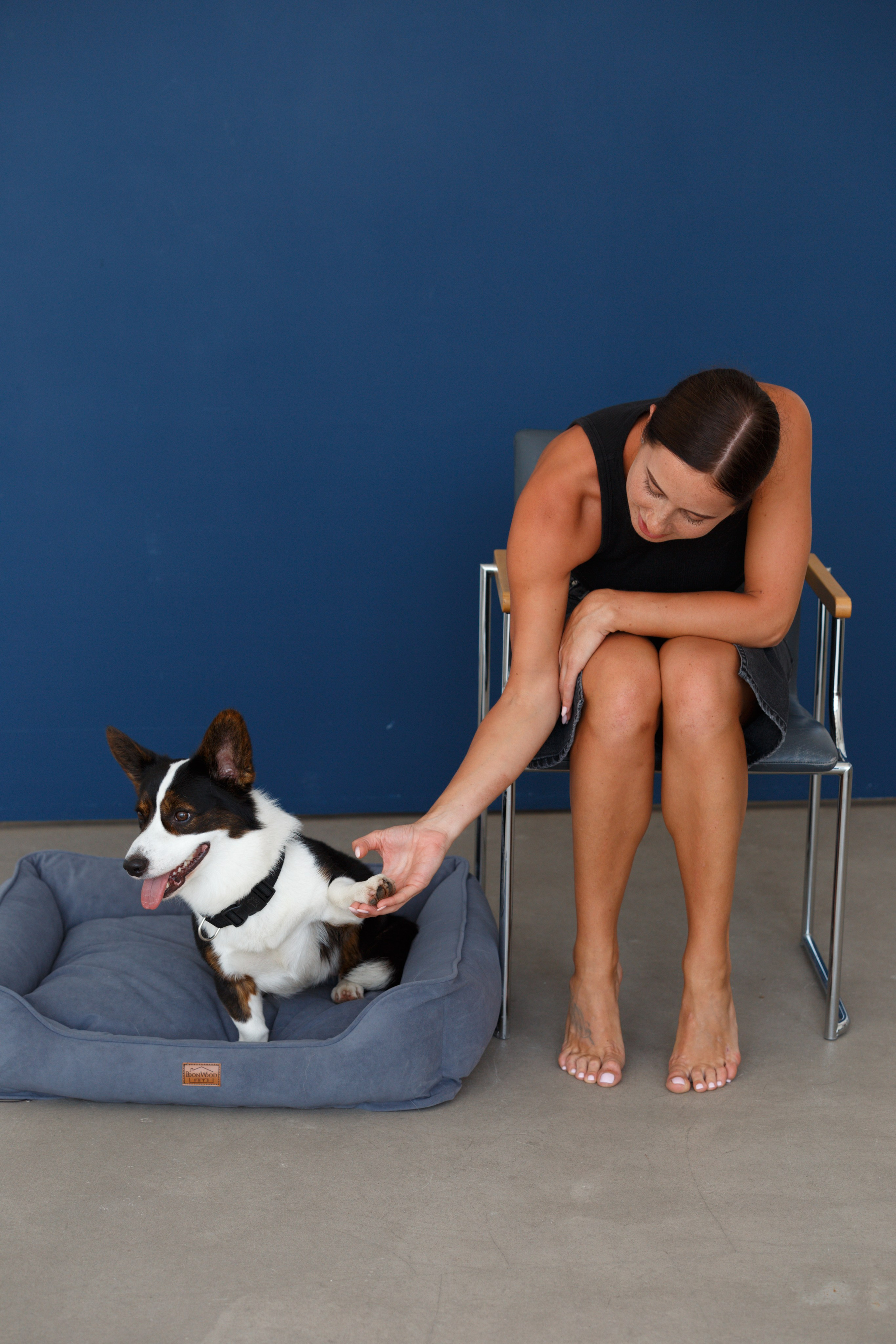 Boonwood Pets лежанки для животных. Фотограф анималист Кристина Карпова, Москва