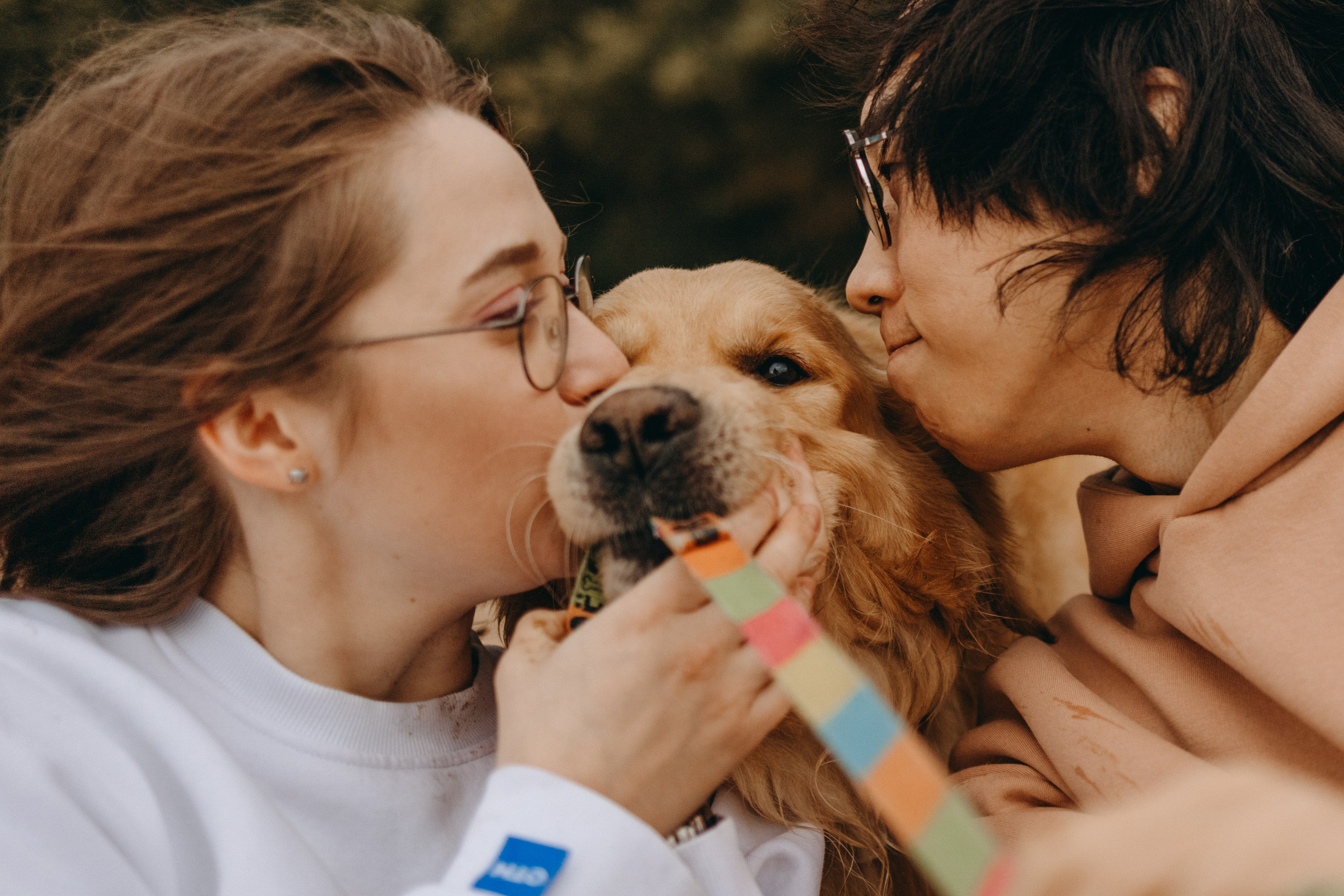 Фоси и его семьи. Фотограф — Анималист | Санкт-Петербург