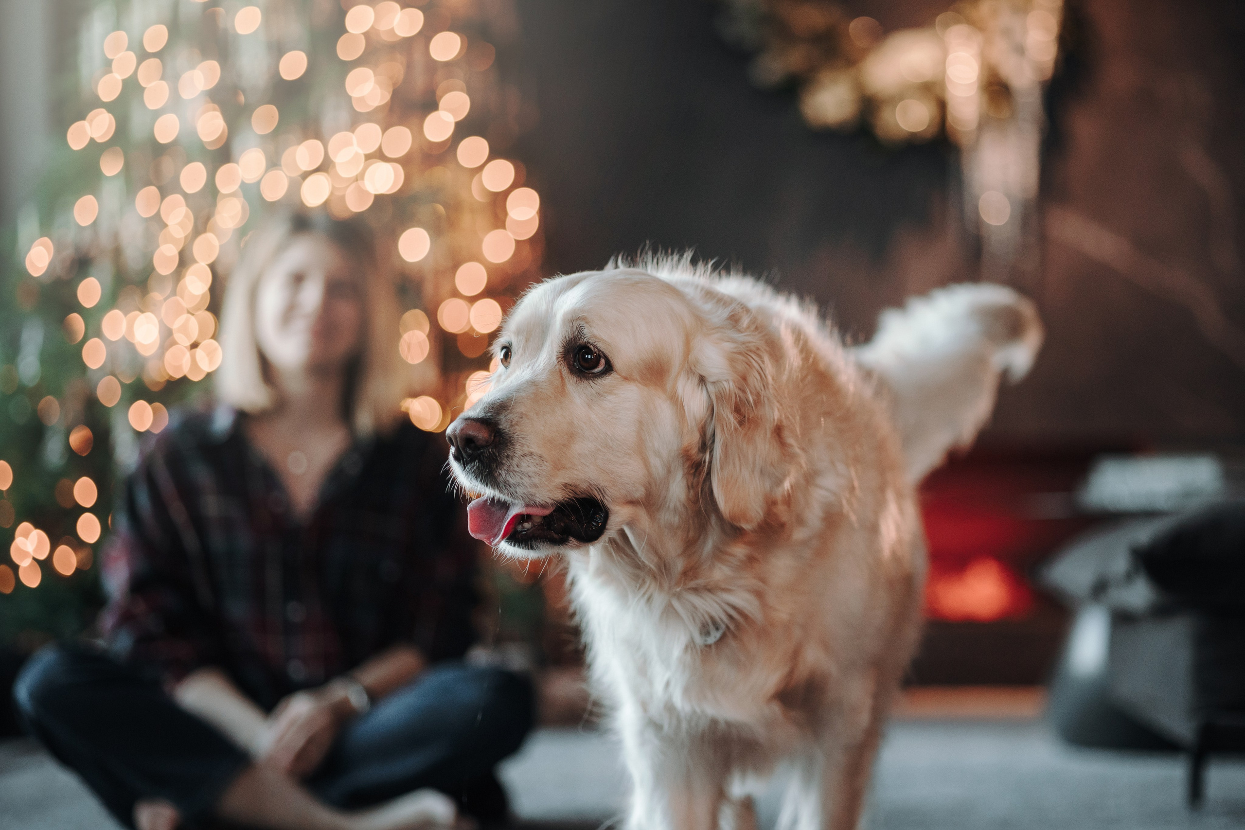 Вика и Рози. Фотограф — Анималист | Санкт-Петербург