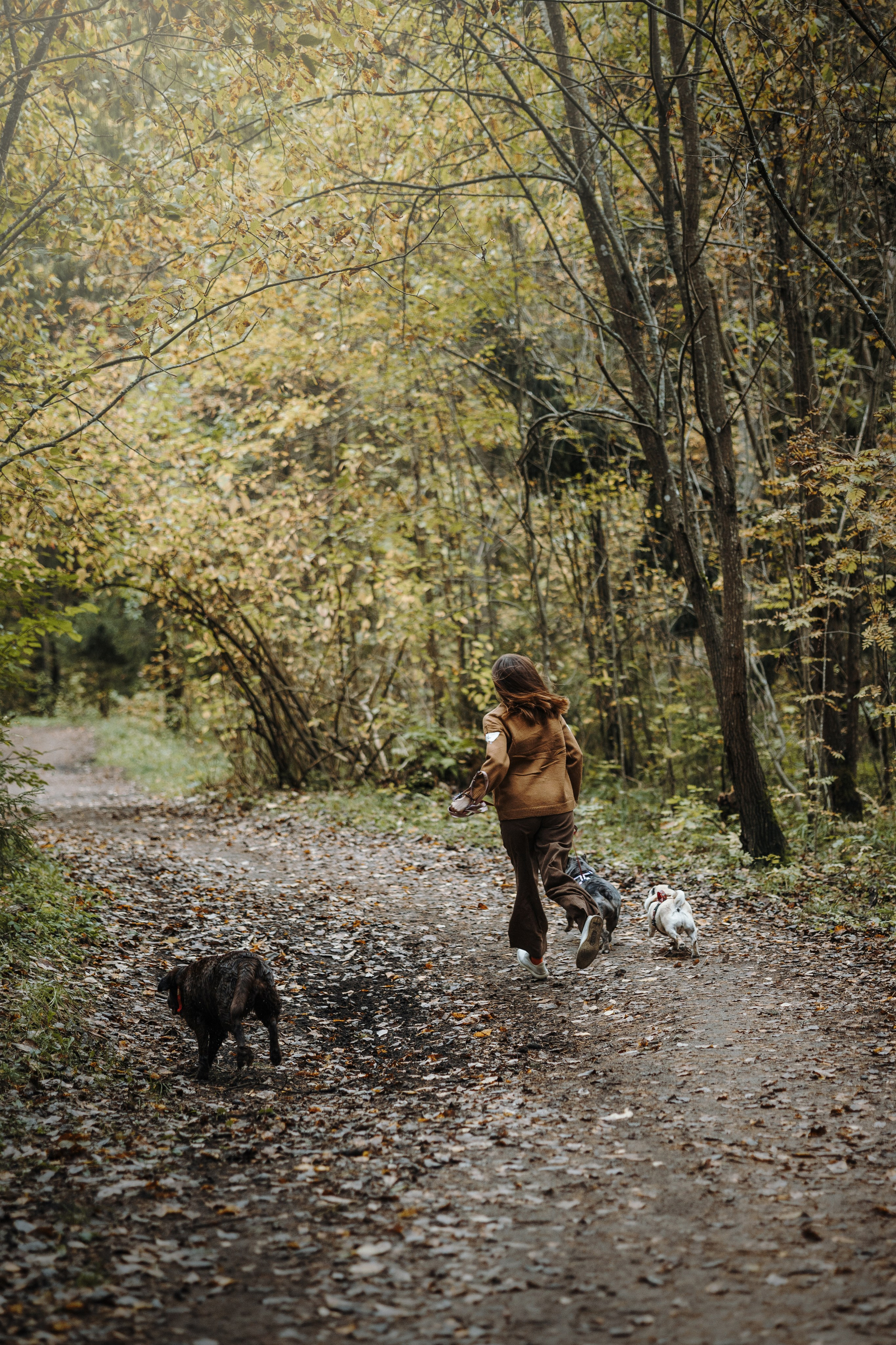 Девочки и их семья. Фотограф — Анималист | Санкт-Петербург