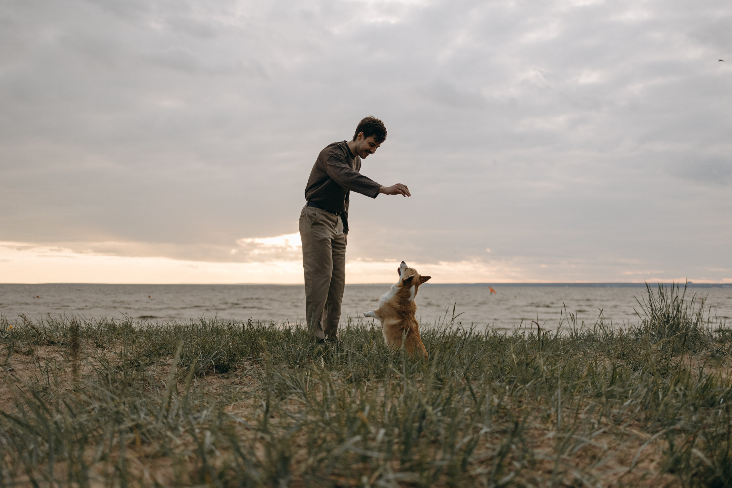 Лотти и ее семья. Фотограф — Анималист | Санкт-Петербург
