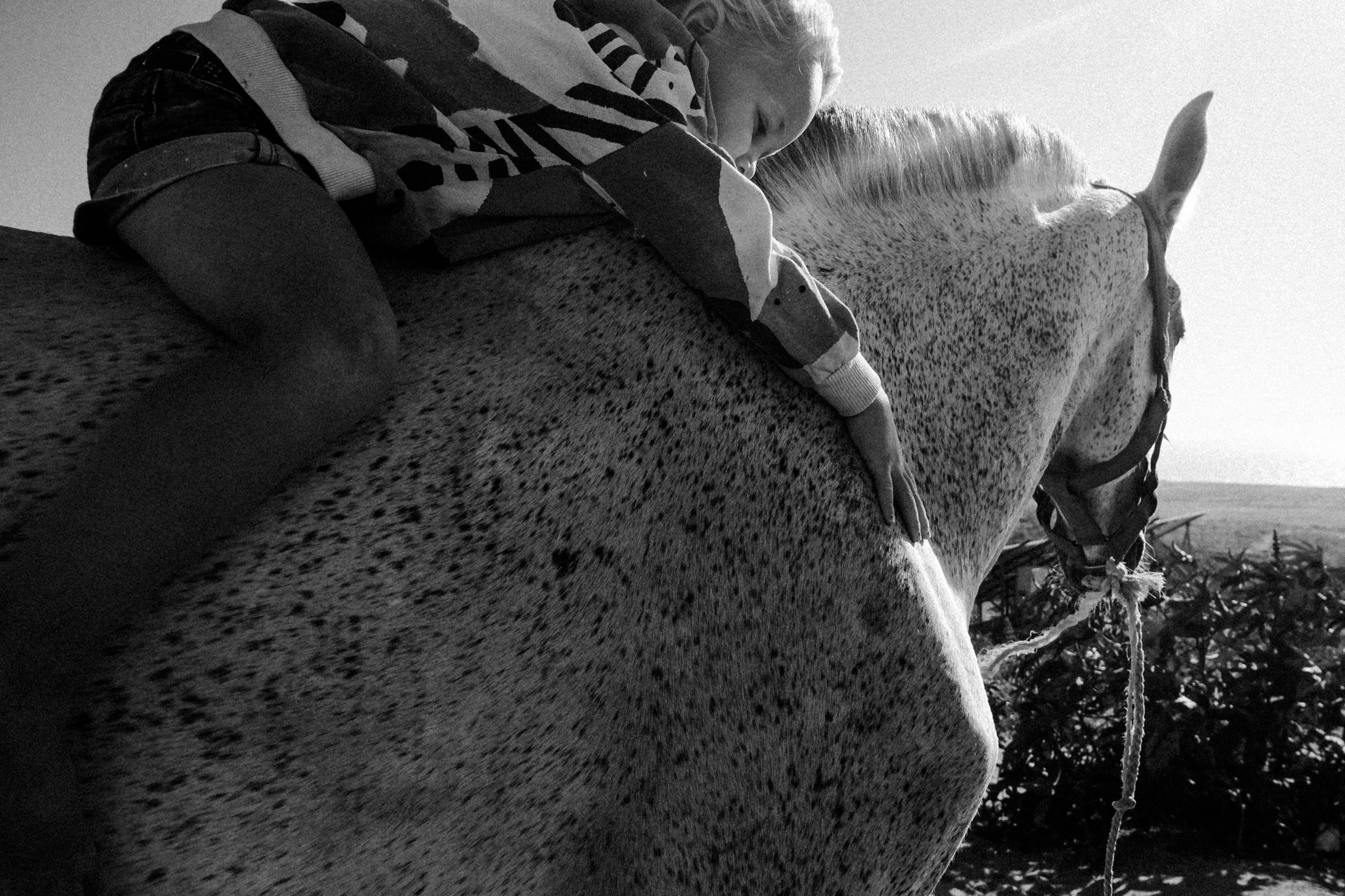 Семейная съемка. Olga Popova — Photographer in Morocco