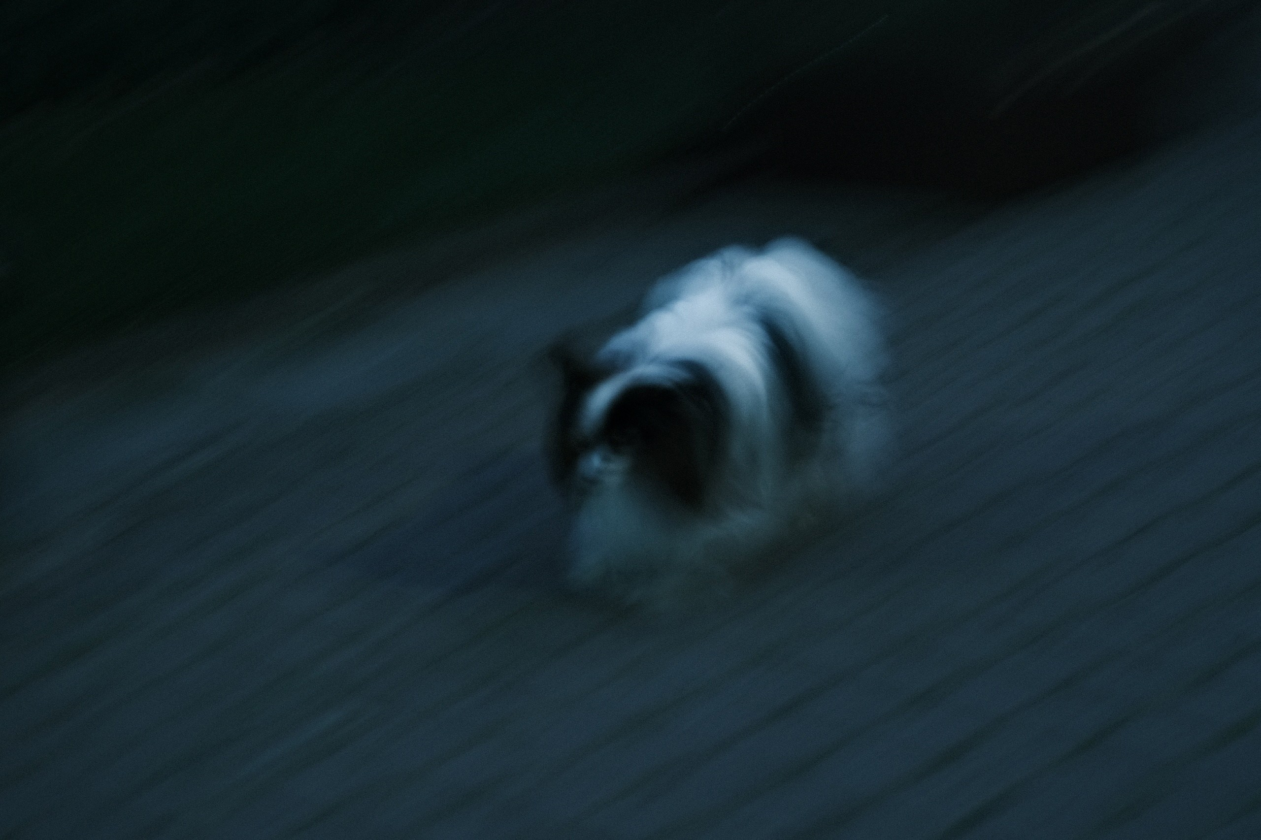 Вечером в Коломенском. Фотограф в Москве Максим Скоробогатов